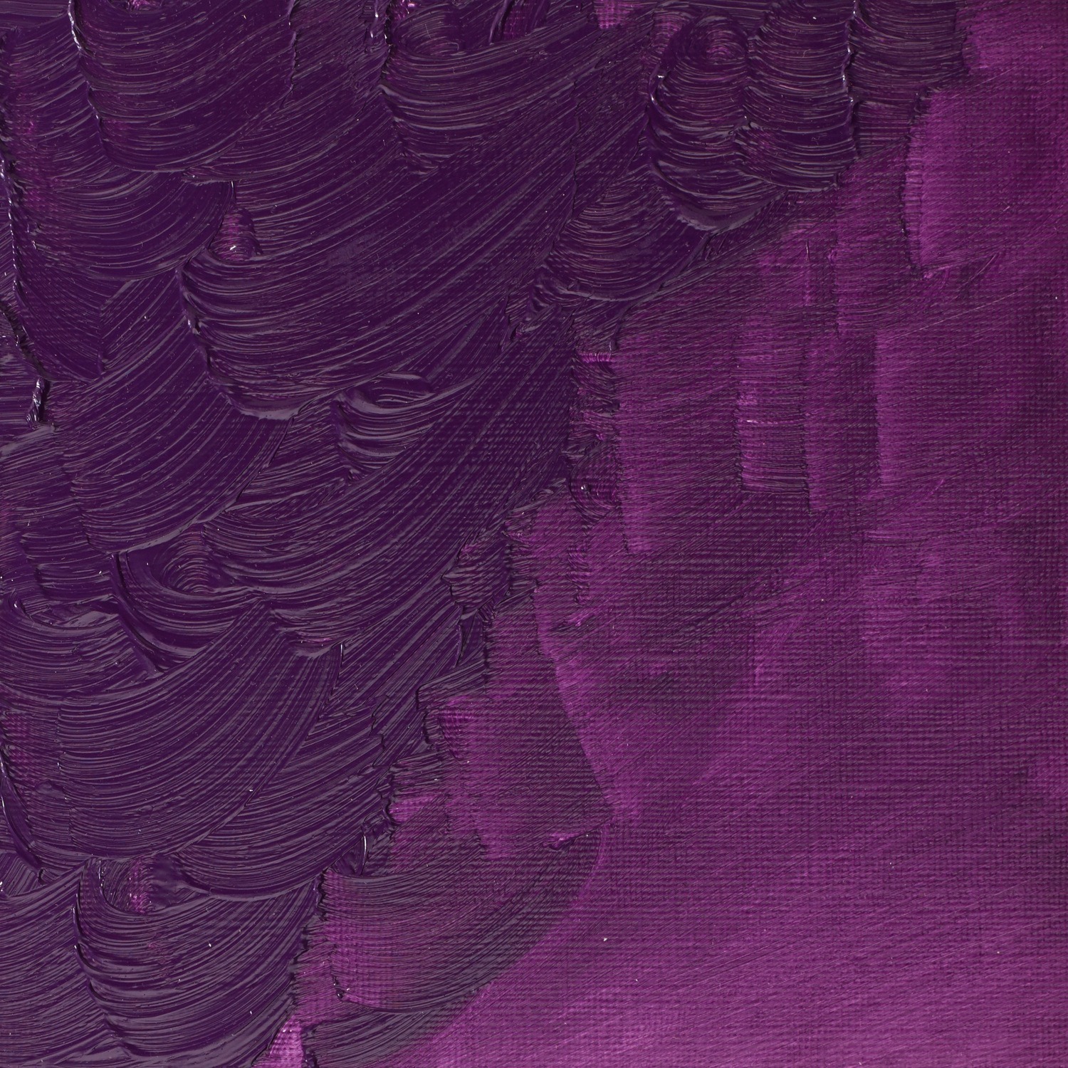 Winsor and Newton Winton Cobalt Violet Oil Paint 37ml Image 2