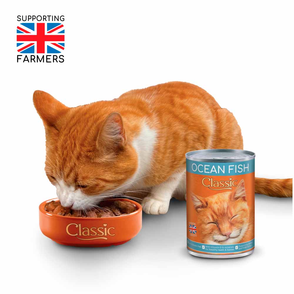 Butchers Classic Tinned Cat Food Haddock Trout Ocean Fish in Jelly 6 x