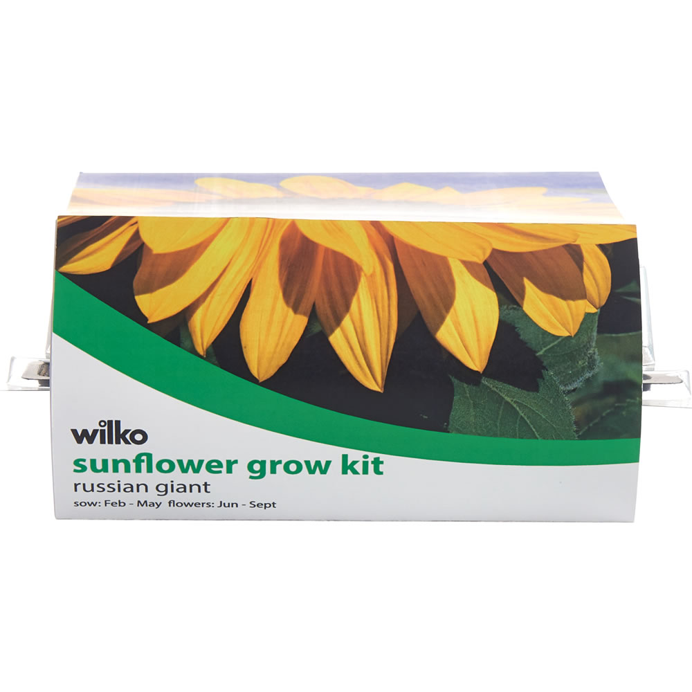 Wilko Sunflower Grow Kit Image 1