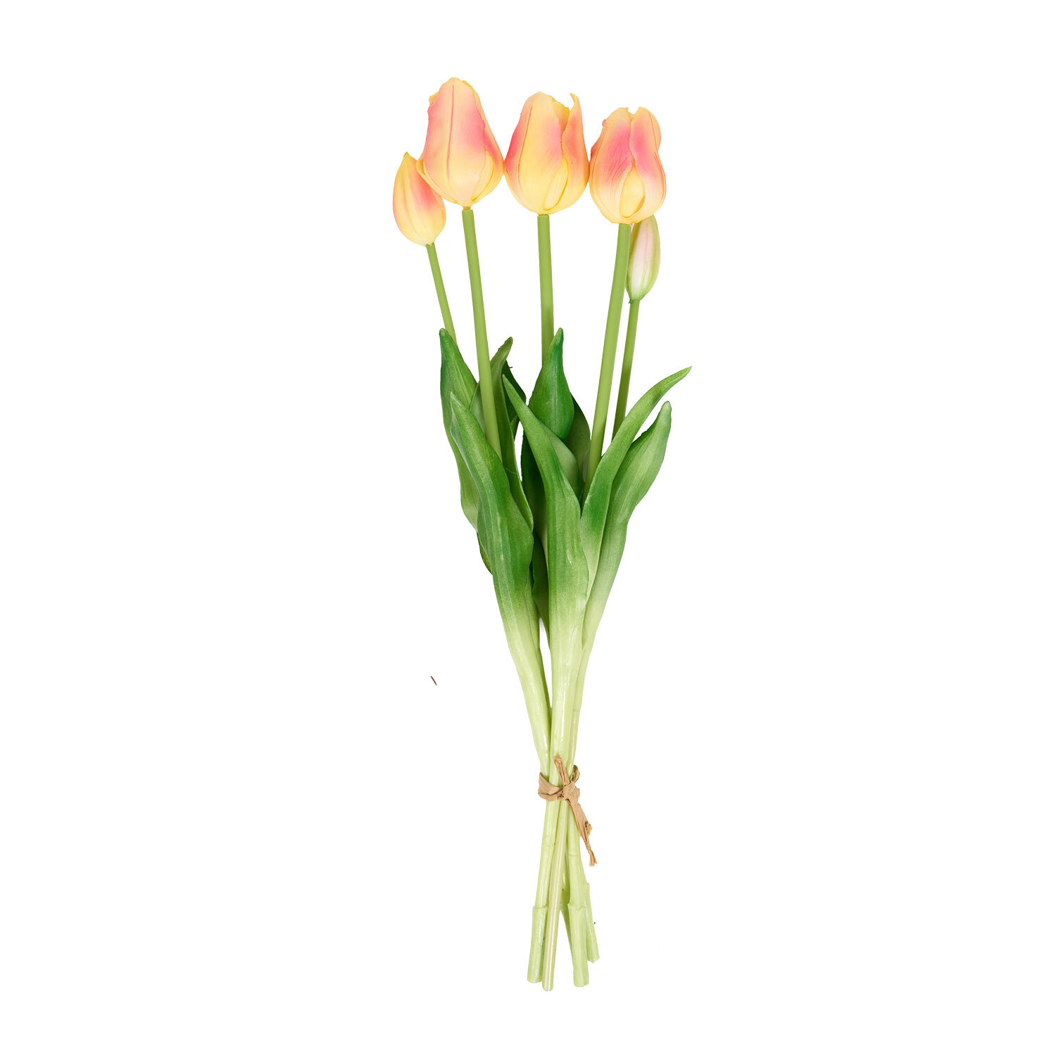 Bright Tulip Bunch Image 11