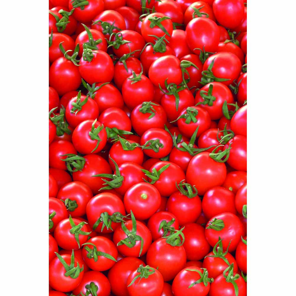 Wilko Cherry Tomato Hanging Basket 30 x 30 x 16cm Image 1