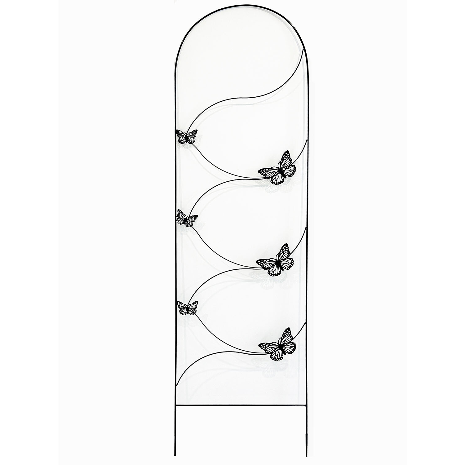 Butterfly Trellis - Black Image 1