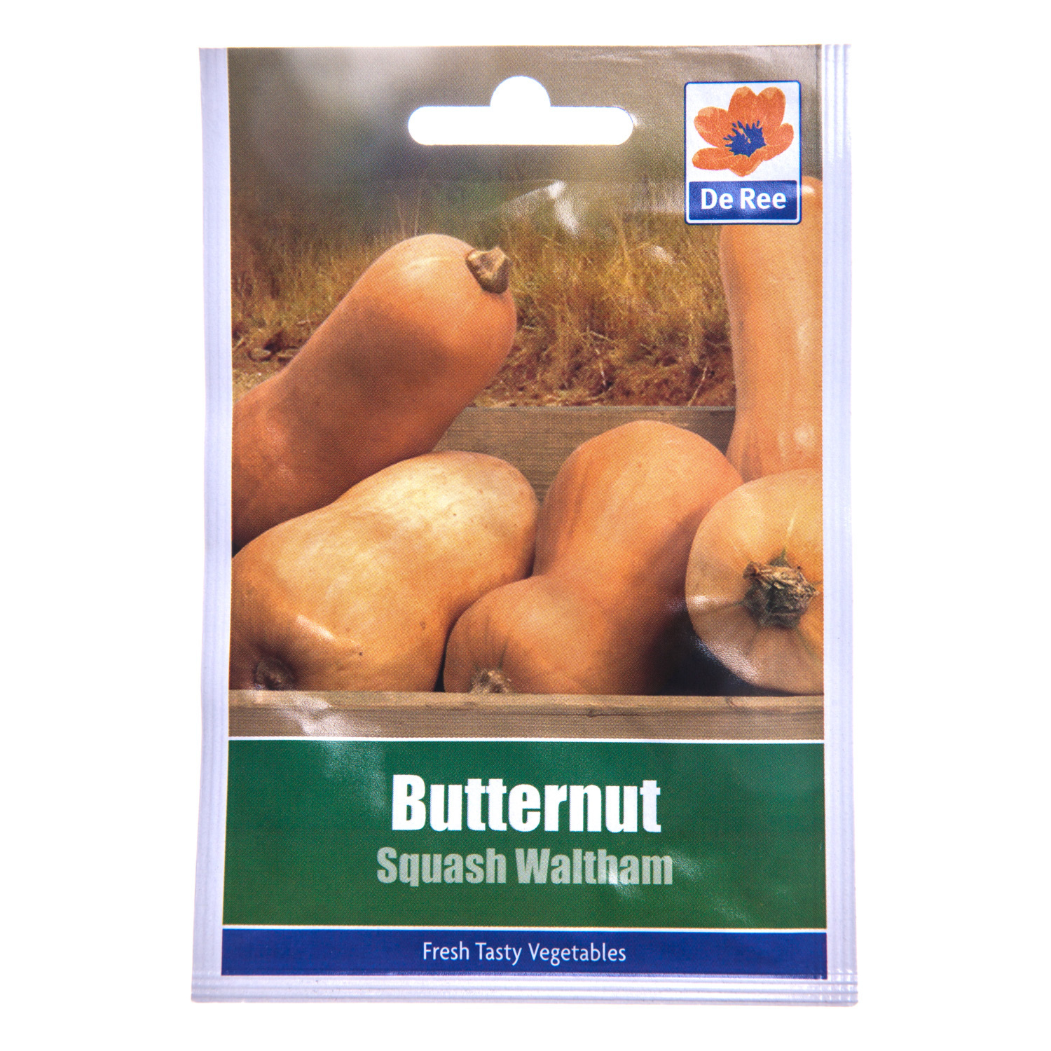 Waltham Butternut Squash Seed Packet - Yellow Image
