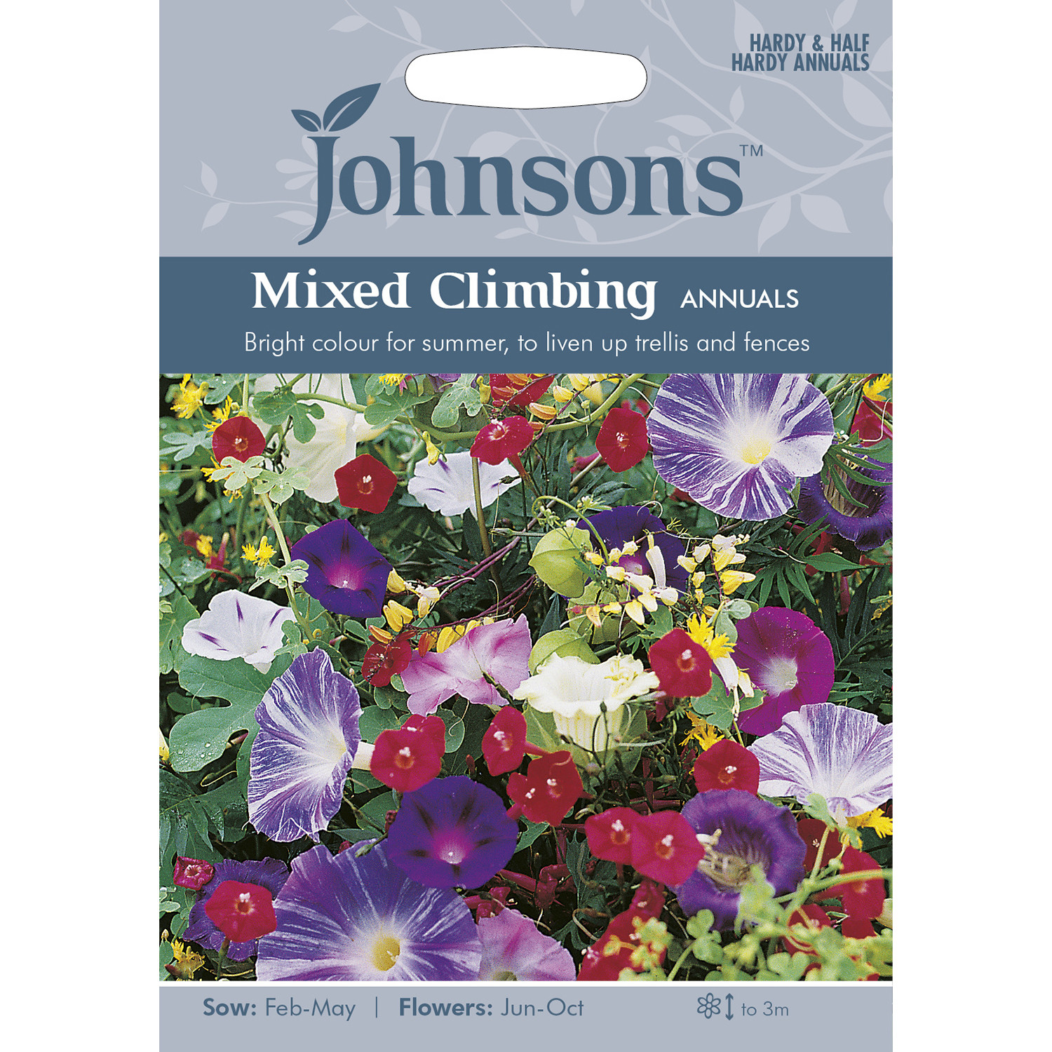 Johnsons Annuals Mixed Climbing Flower Seeds Image 2