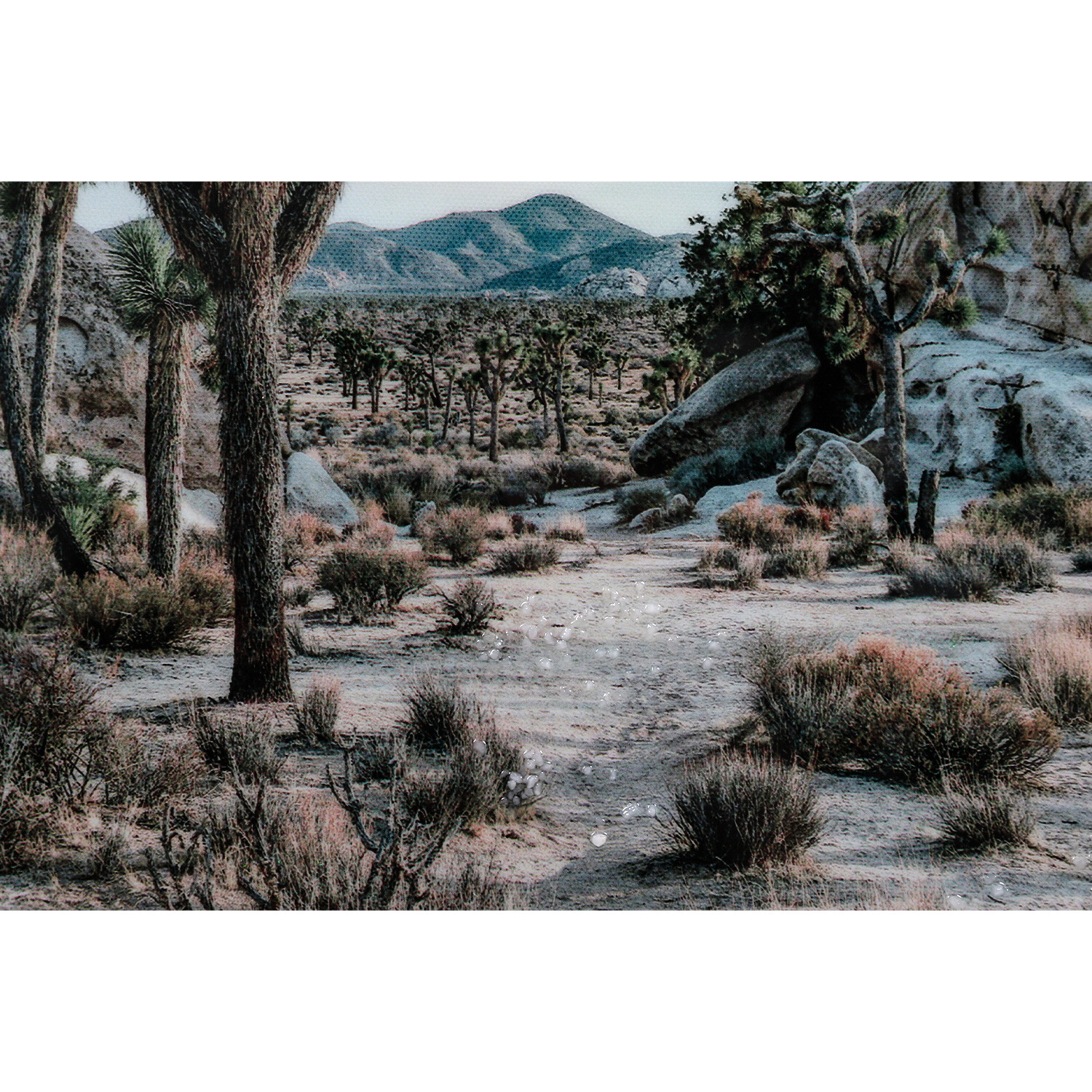 White Desert Landscape Gloss Wall Art 80 x 60cm Image 2