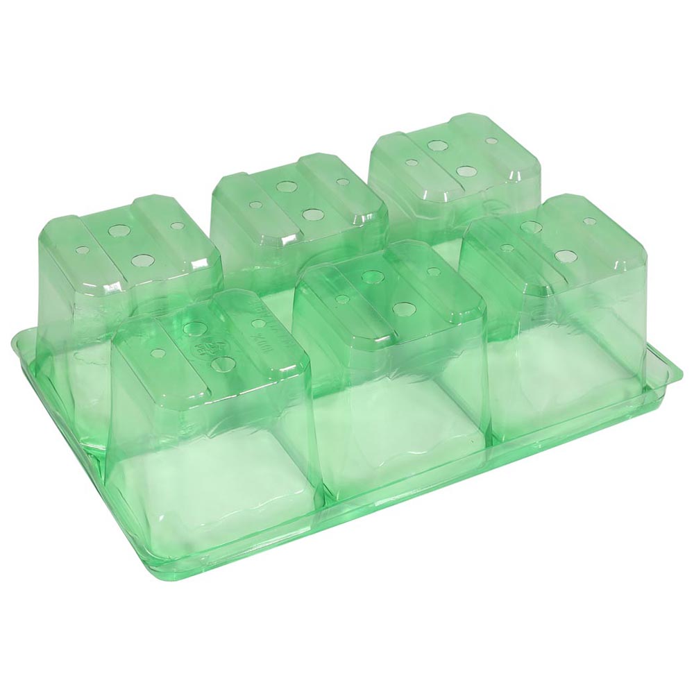 Wilko Green PET Seed Tray 6 Inserts 5 Pack Image 5