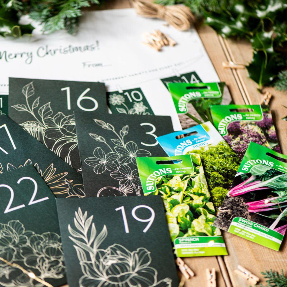 Thompson and Morgan Christmas Gift Vegetables Seed Christmas Gift Advent Calendar Kit Image 3