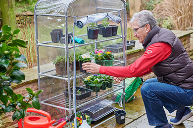 A beginner’s guide to greenhouse growing
