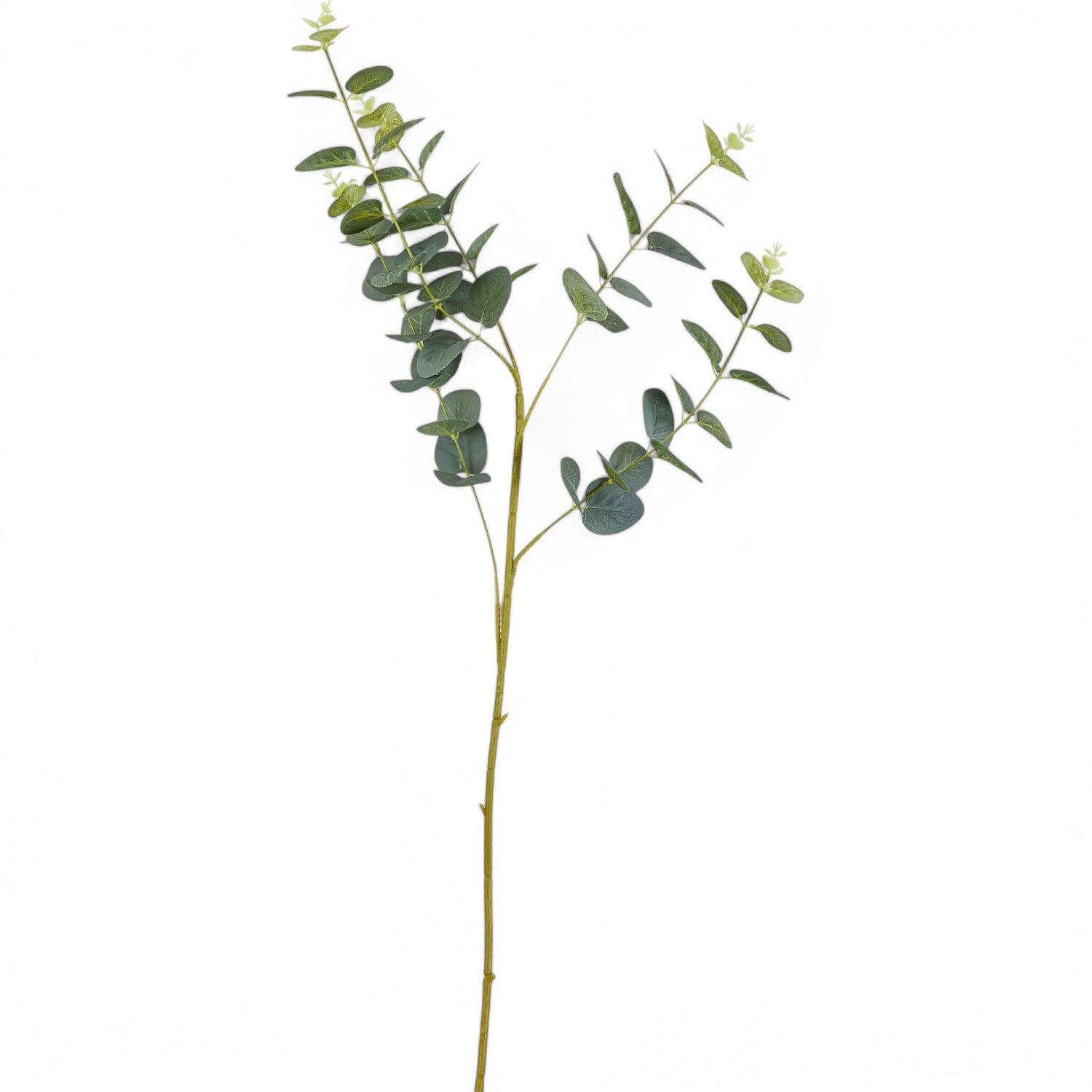 Silk Eucalyptus Stem  - Green Image 1