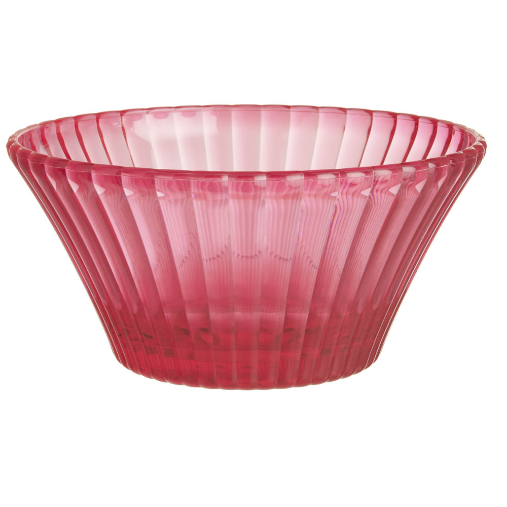 Wilko Discovery Plastic Bowl Wilko