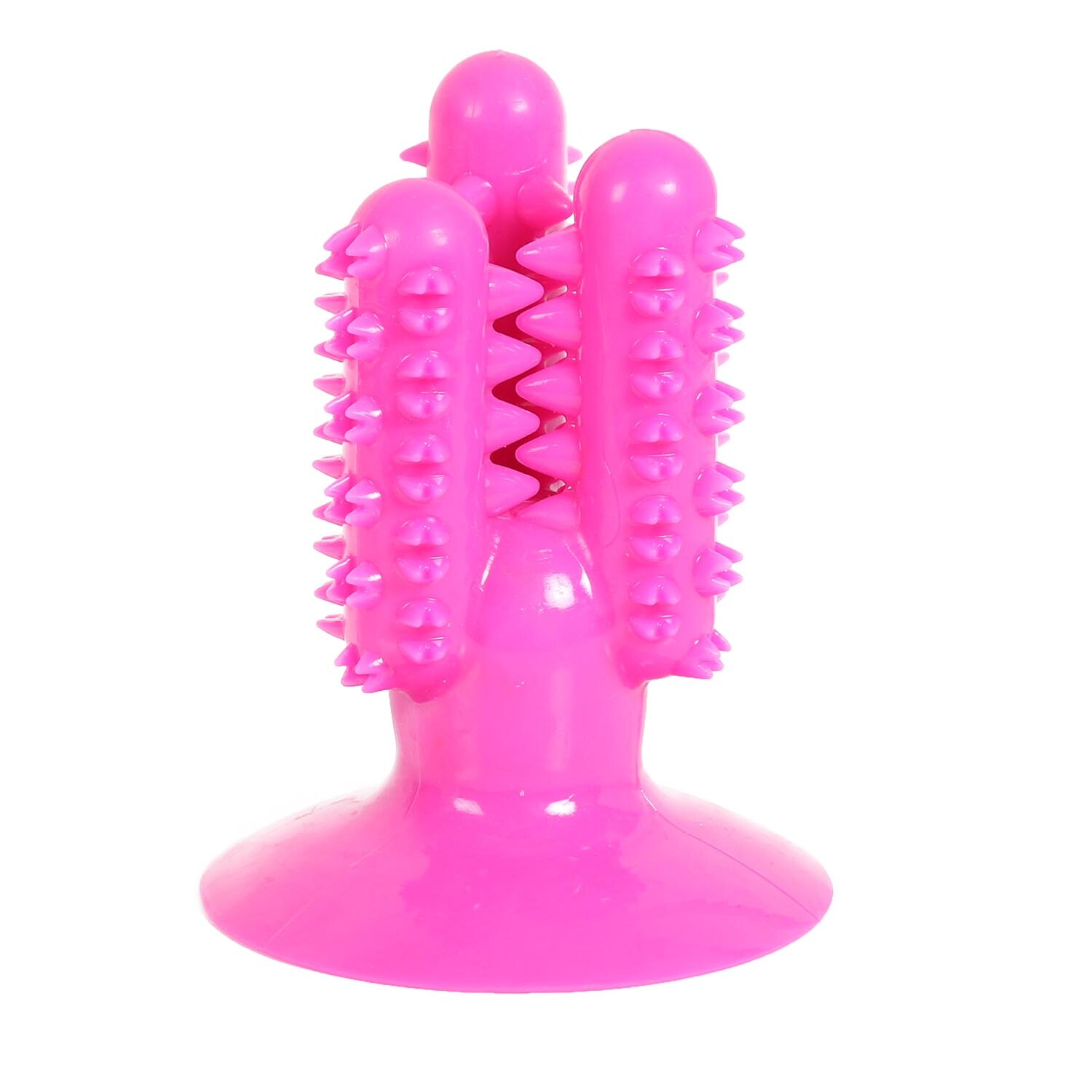 Clever Paws Cactus Dog Dental Toy Image 1