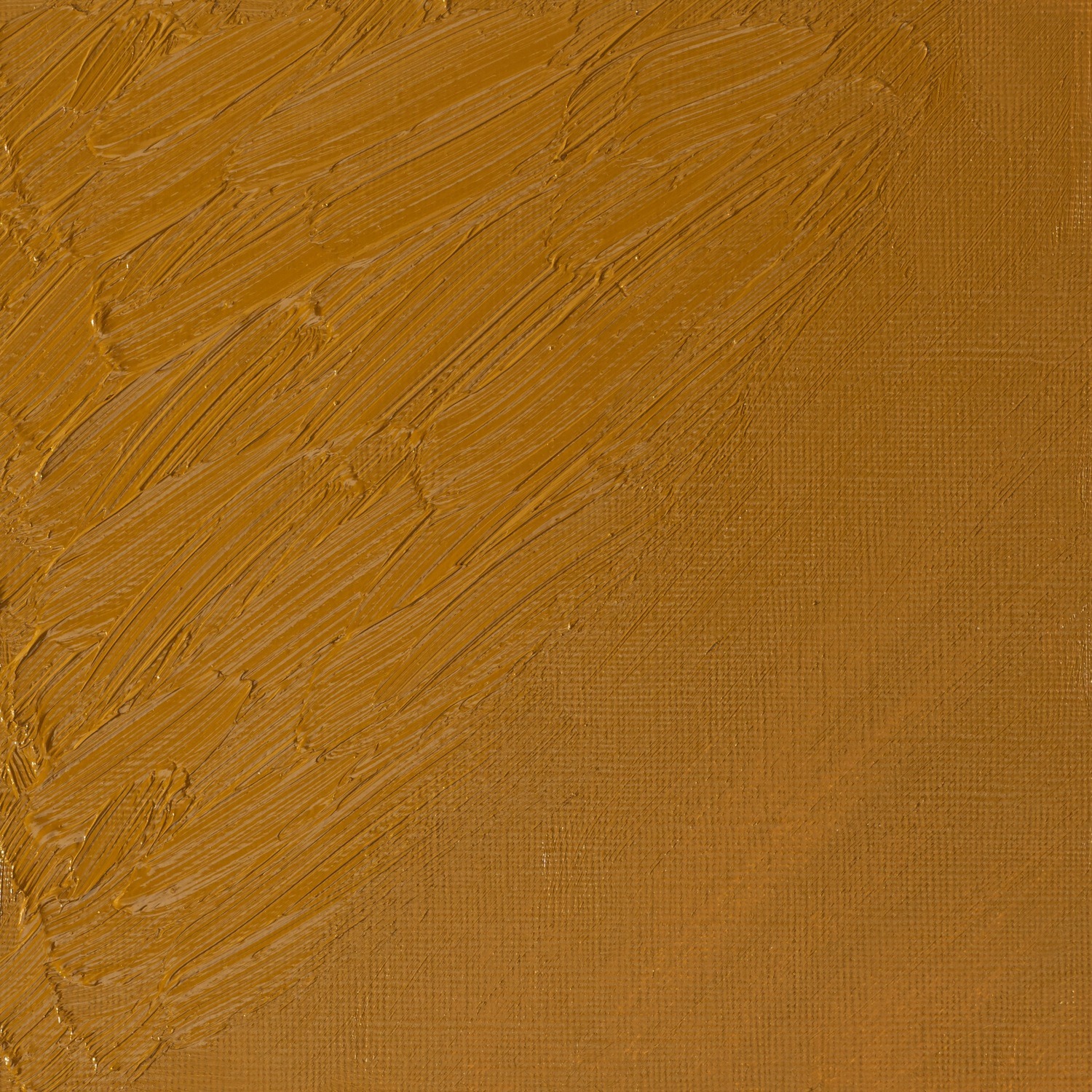 Winsor and Newton 37ml Artists' Oil Colours - Gold Ochre Image 2