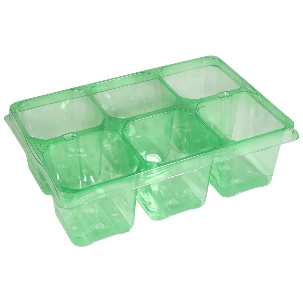 Wilko Green PET Seed Tray 6 Inserts 5 Pack Image 4