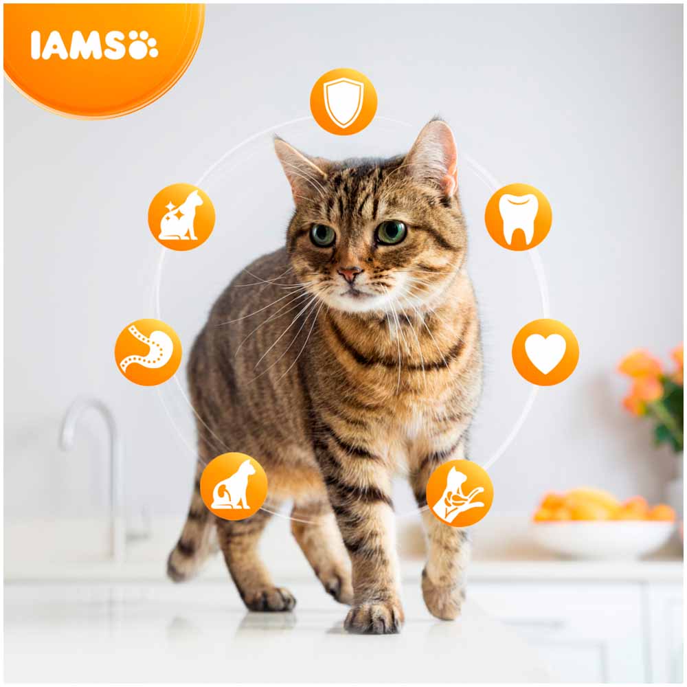 IAMS Vitality Fresh Chicken Senior Dry Cat Food 2kg Image 4