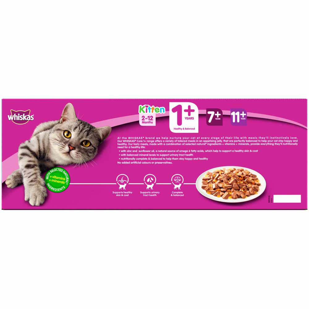 Whiskas Adult 1 Years+ Fish Selection in Jelly Cat Food Pouches 40x100g Image 5