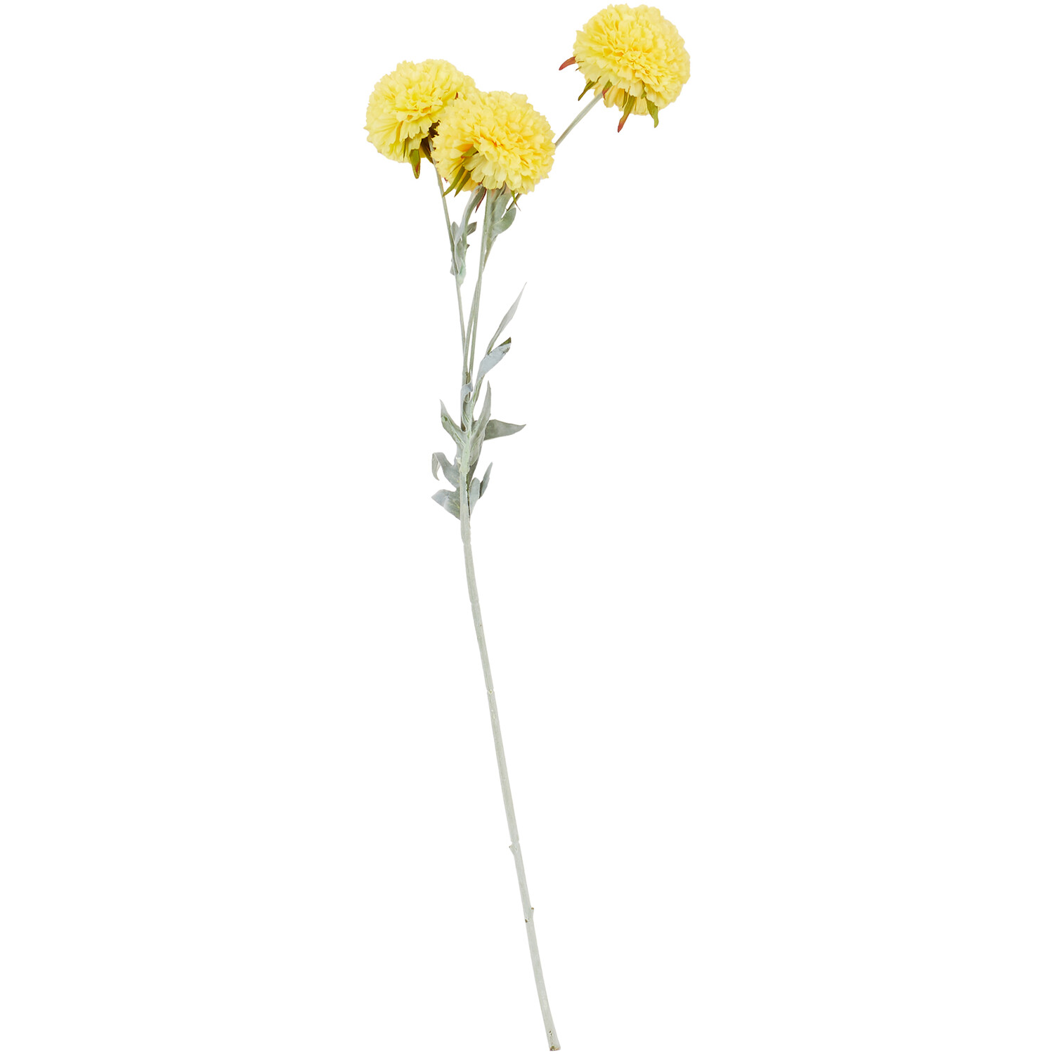 Vintage Stem Image 1