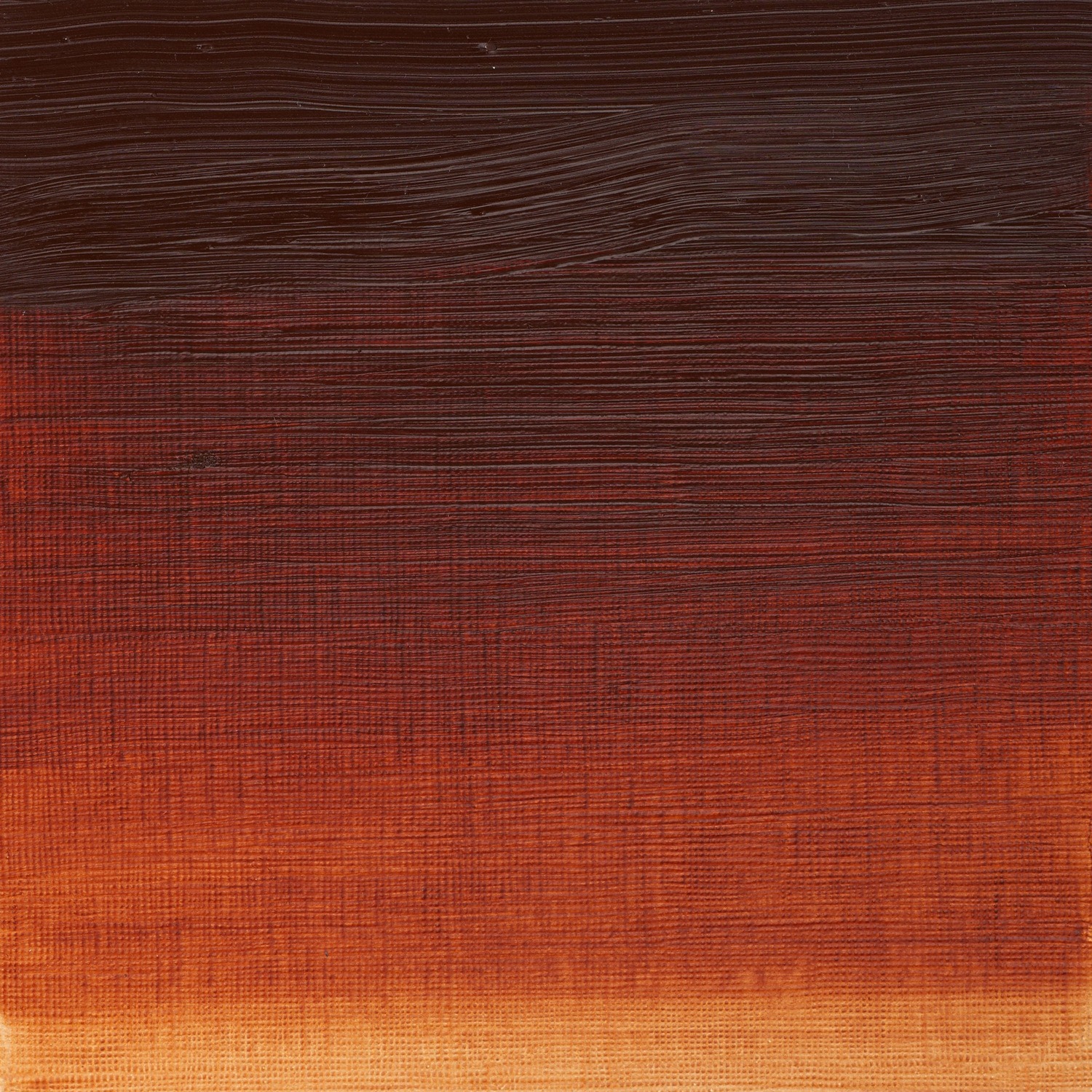 Winsor and Newton 37ml Artists' Oil Colours - Burnt Sienna Image 2