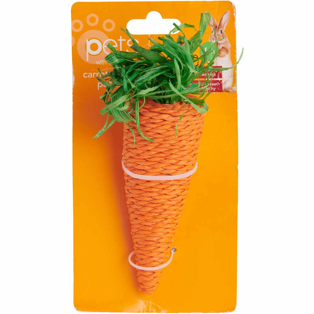 Wilko Carrot Shaped Pet Toy Image 1