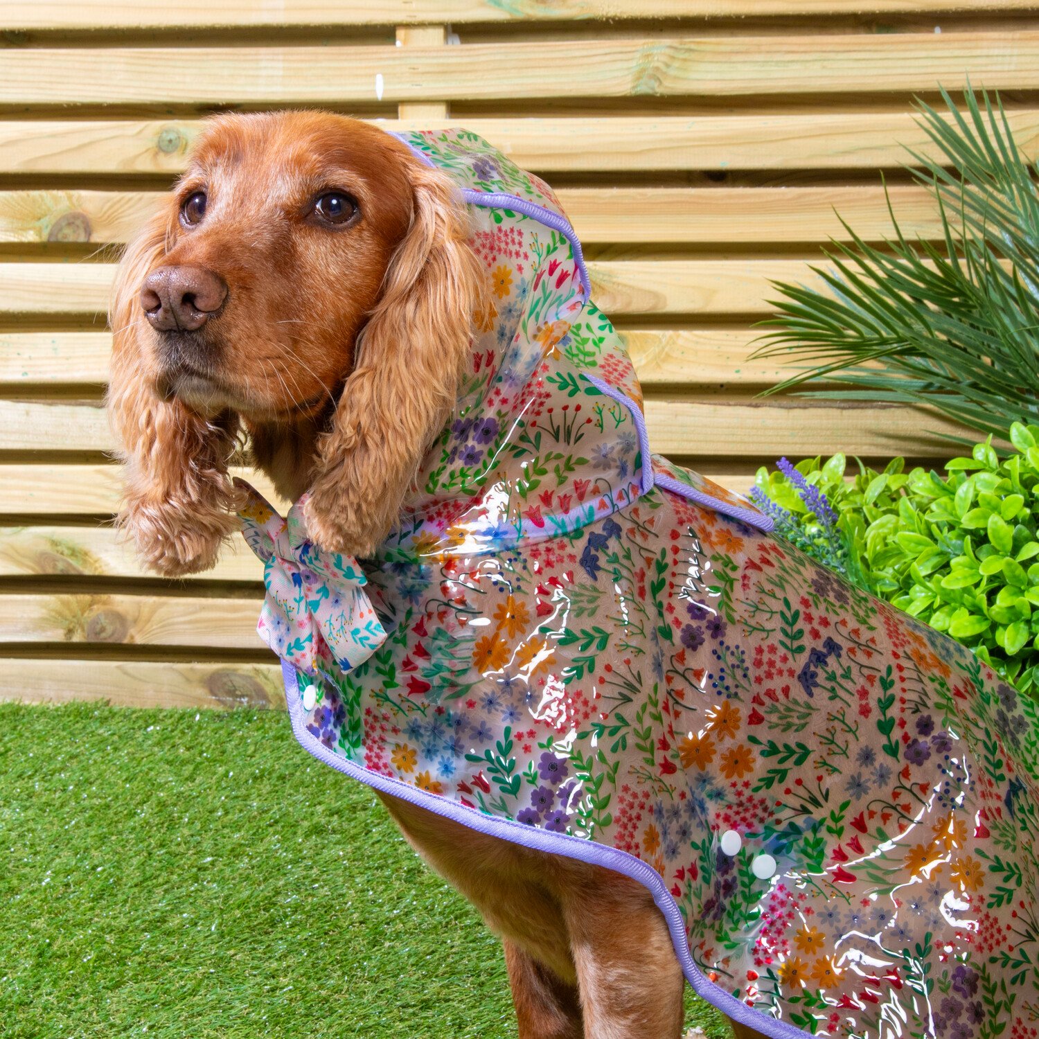 Wildflower Dog Raincoat Neutral 25cm Image 3