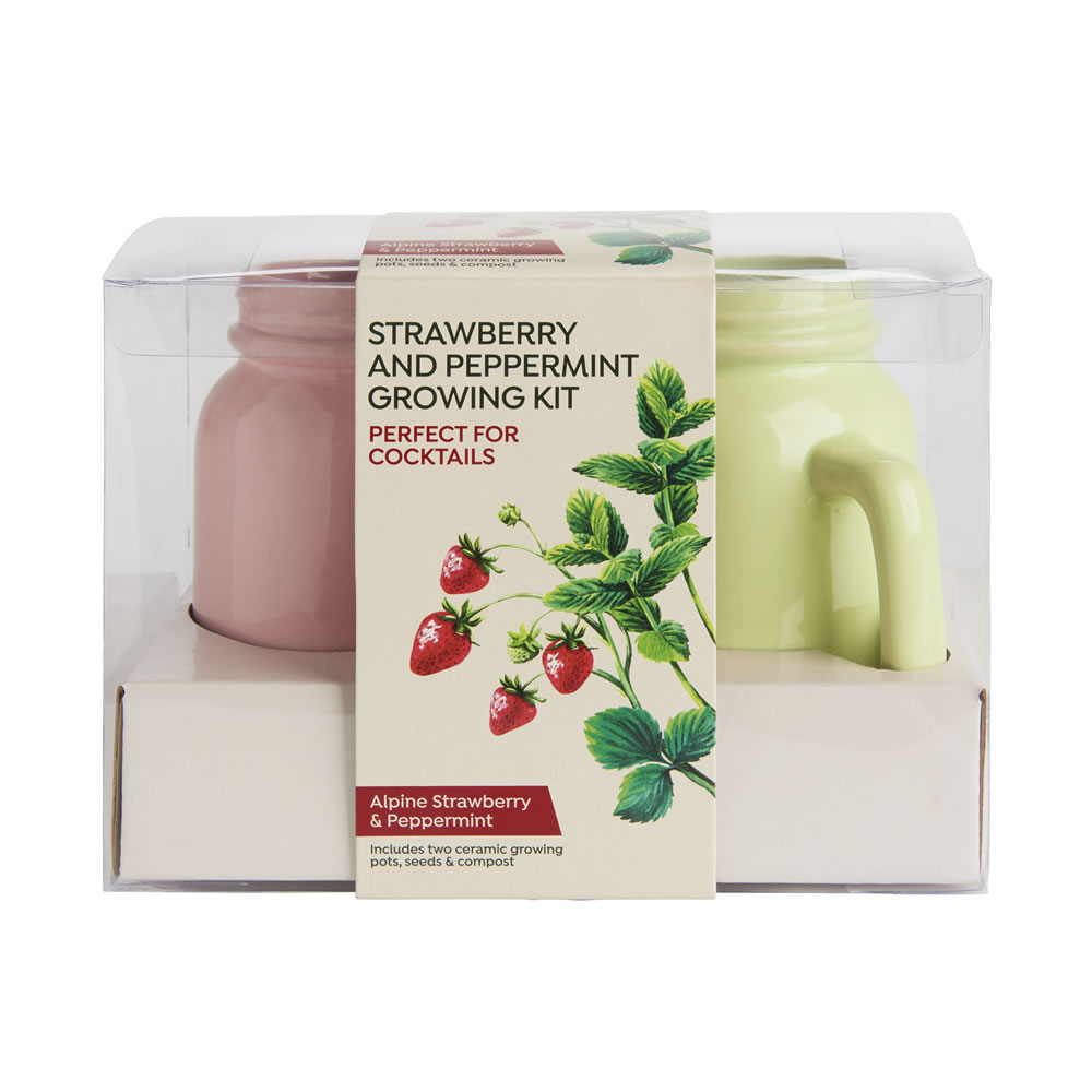 Wilko Strawberry and Peppermint Growing Kit Image 1