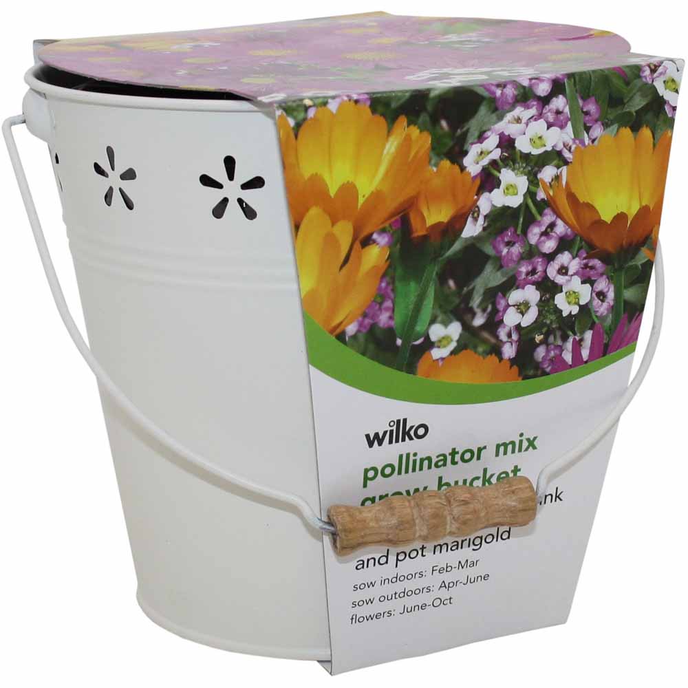 Wilko Summer Flower Bucket - Pollinators 18 x 18 x 17.5cm Image 3