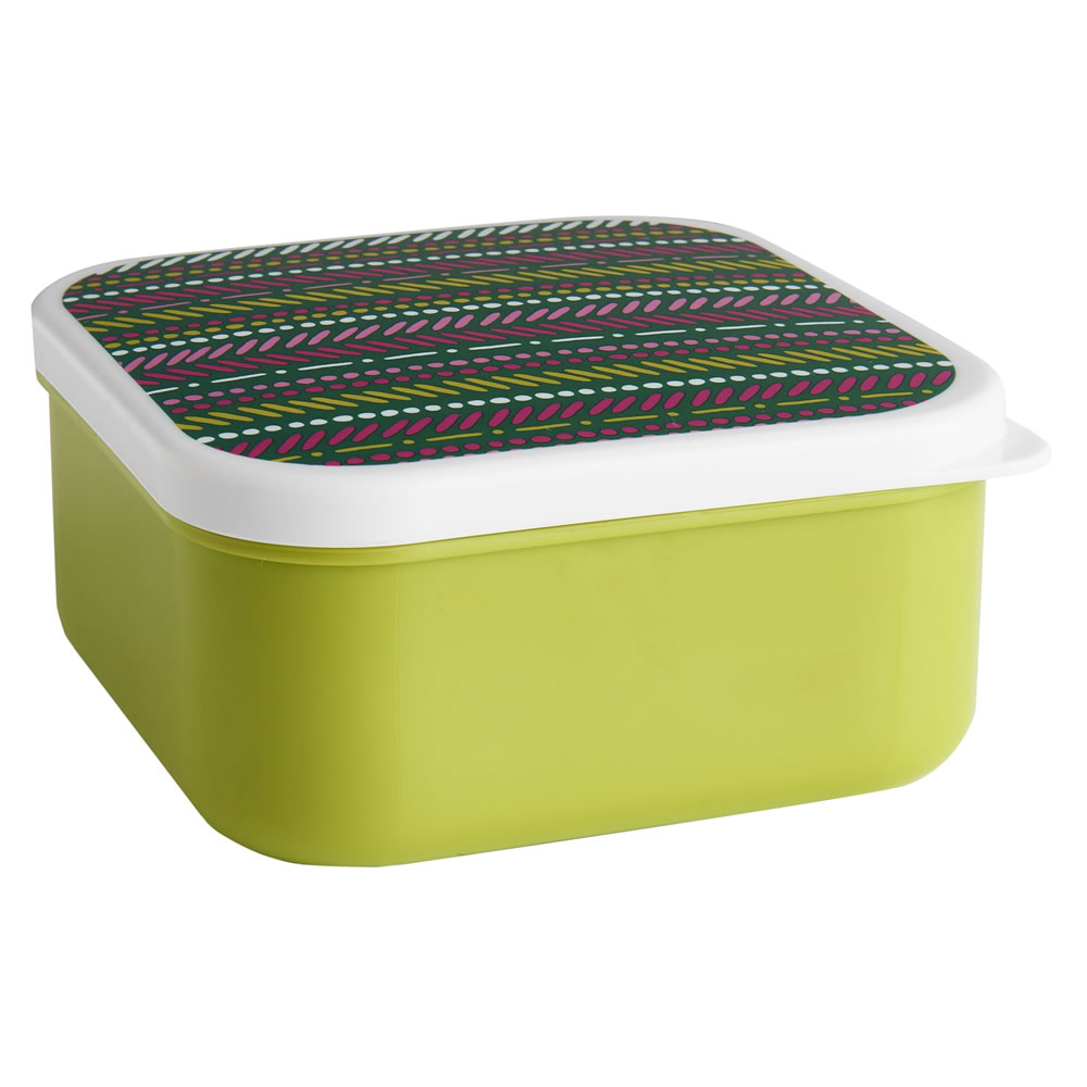 Wilko Picnic Tropical Containers Assorted Image 3