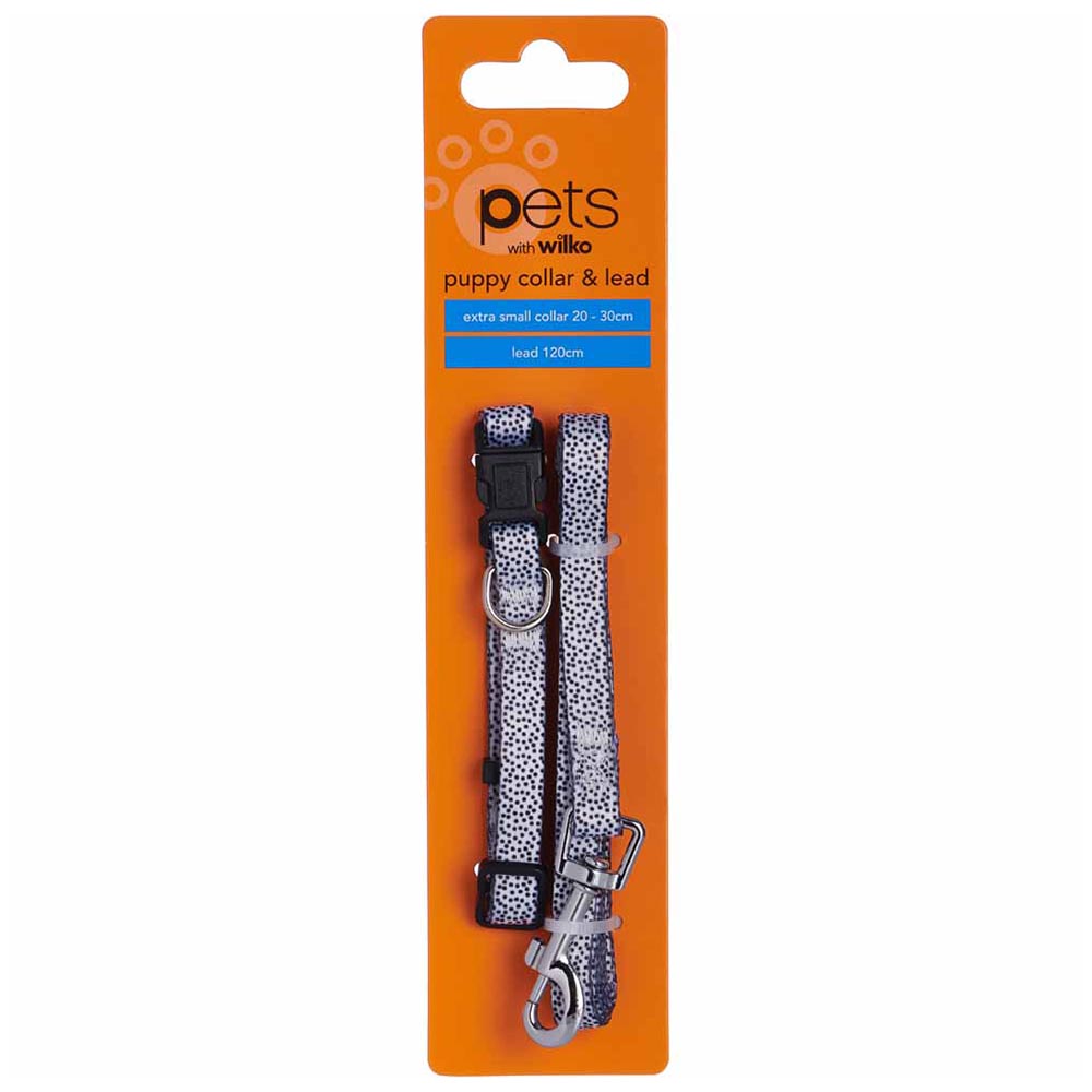 Single Wilko Puppy Small Dog Collar and Lead in Assorted styles Image 6