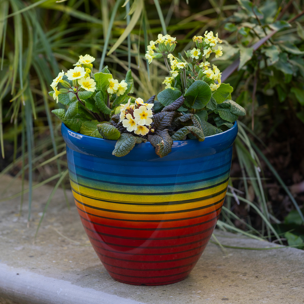 YouGarden Rainbow Planter 23cm 2 Pack Image 2