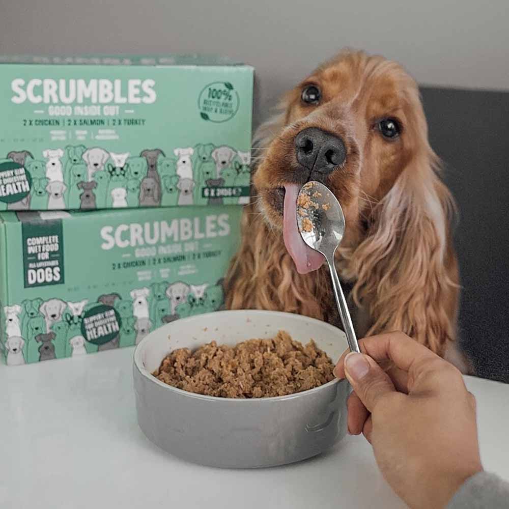 Scrumbles Chicken Salmon Turkey Wet Dog Food Multipack 6 x 395g Image 2