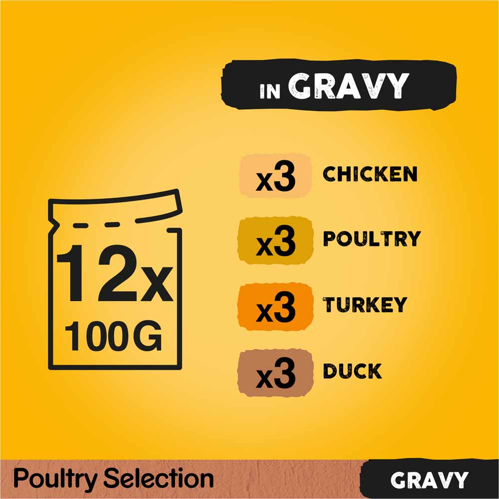 Pedigree Poultry Selection in Gravy and Jelly Adult Wet Dog Food Pouches 12 x 100g Image 6