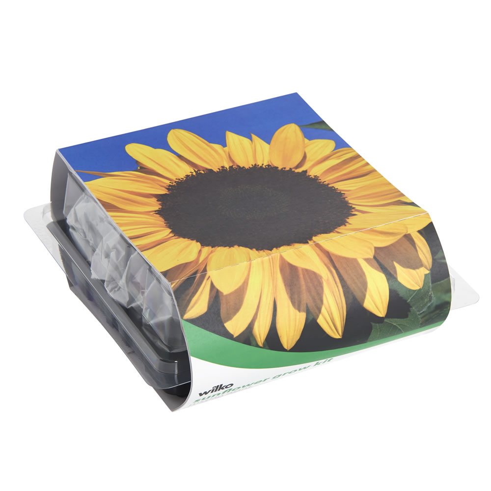 Wilko Sunflower Grow Kit Image 2