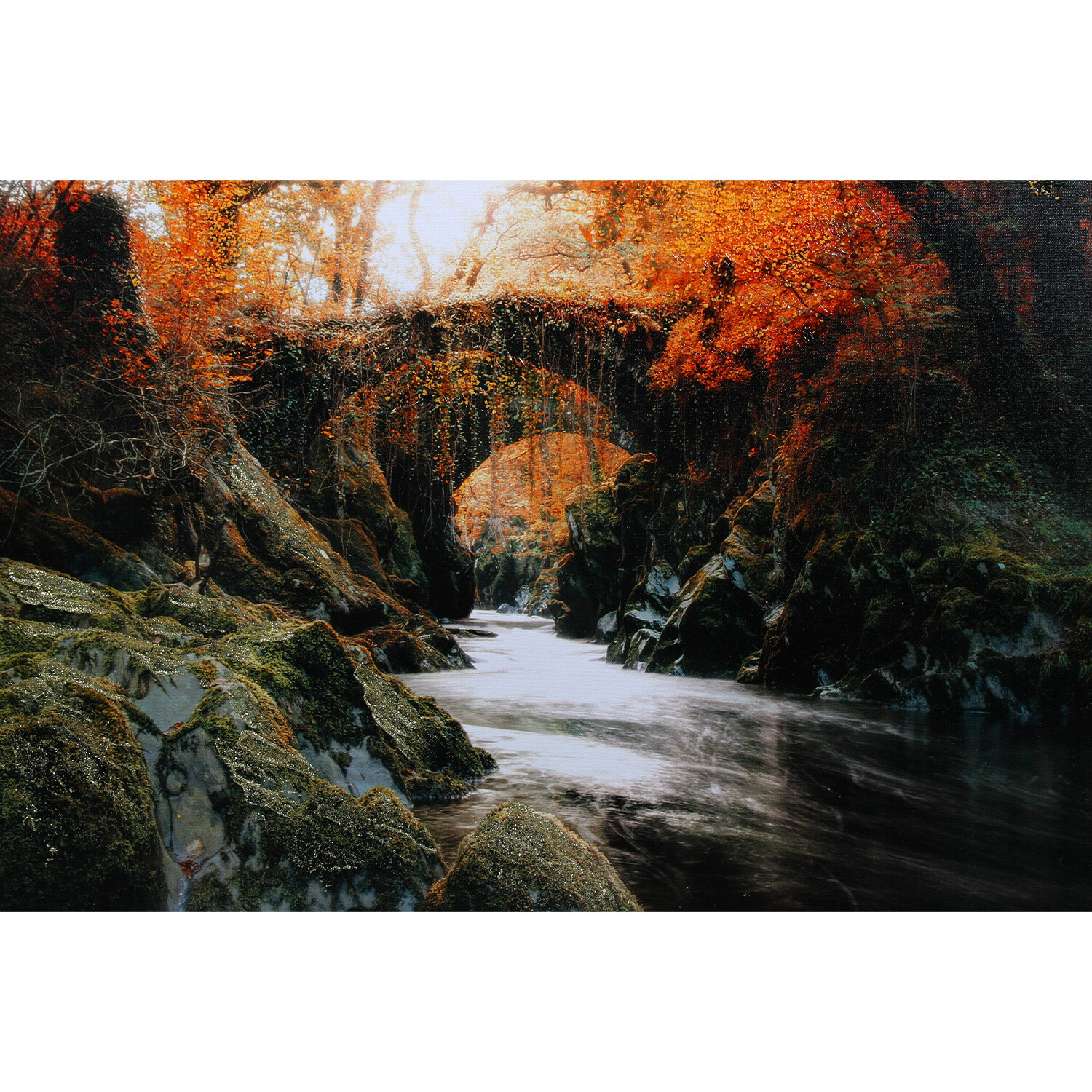 Autumnal Forest Framed Canvas - Orange Image 2