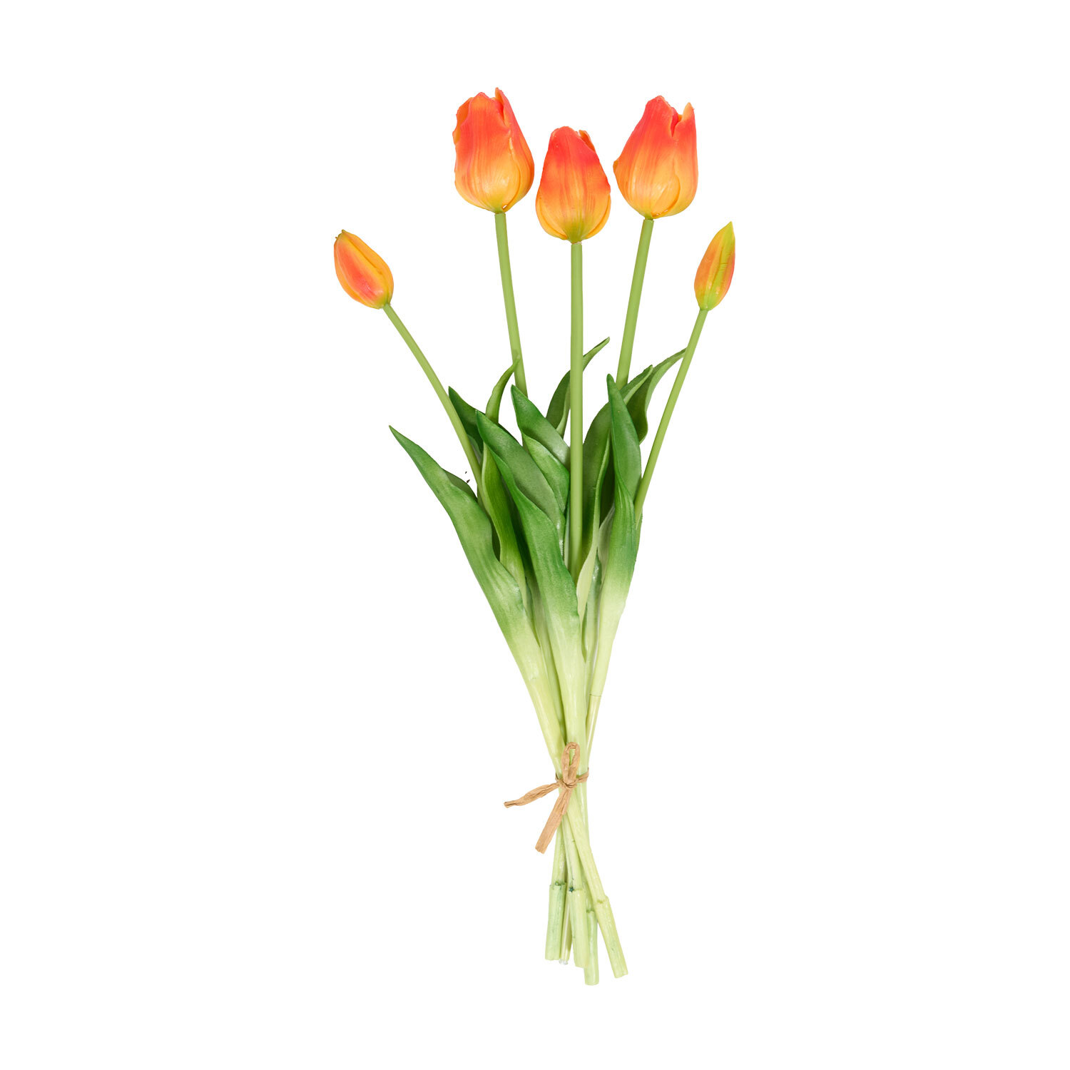 Bright Tulip Bunch Image 12