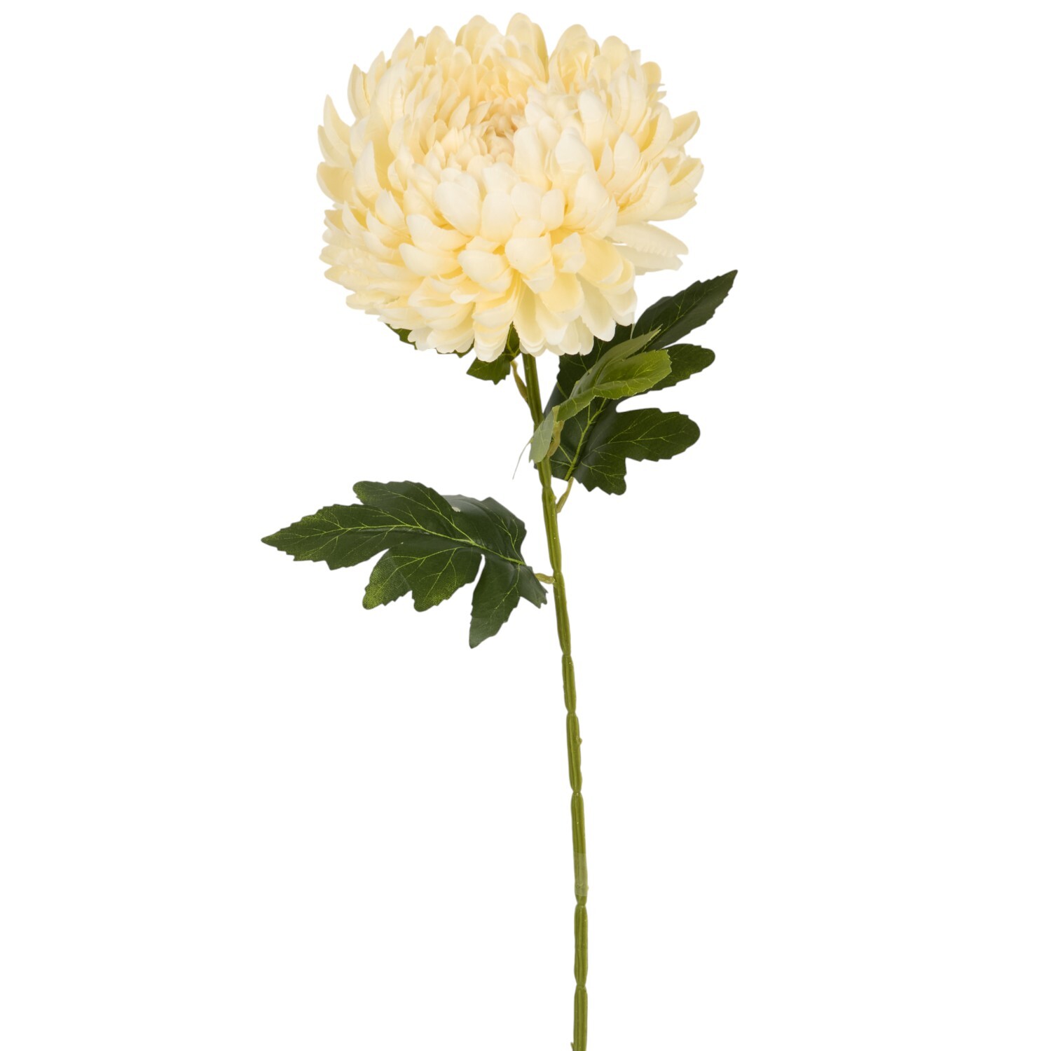 Large Fuji Mum Pom Stem 70cm Asrt Image 2
