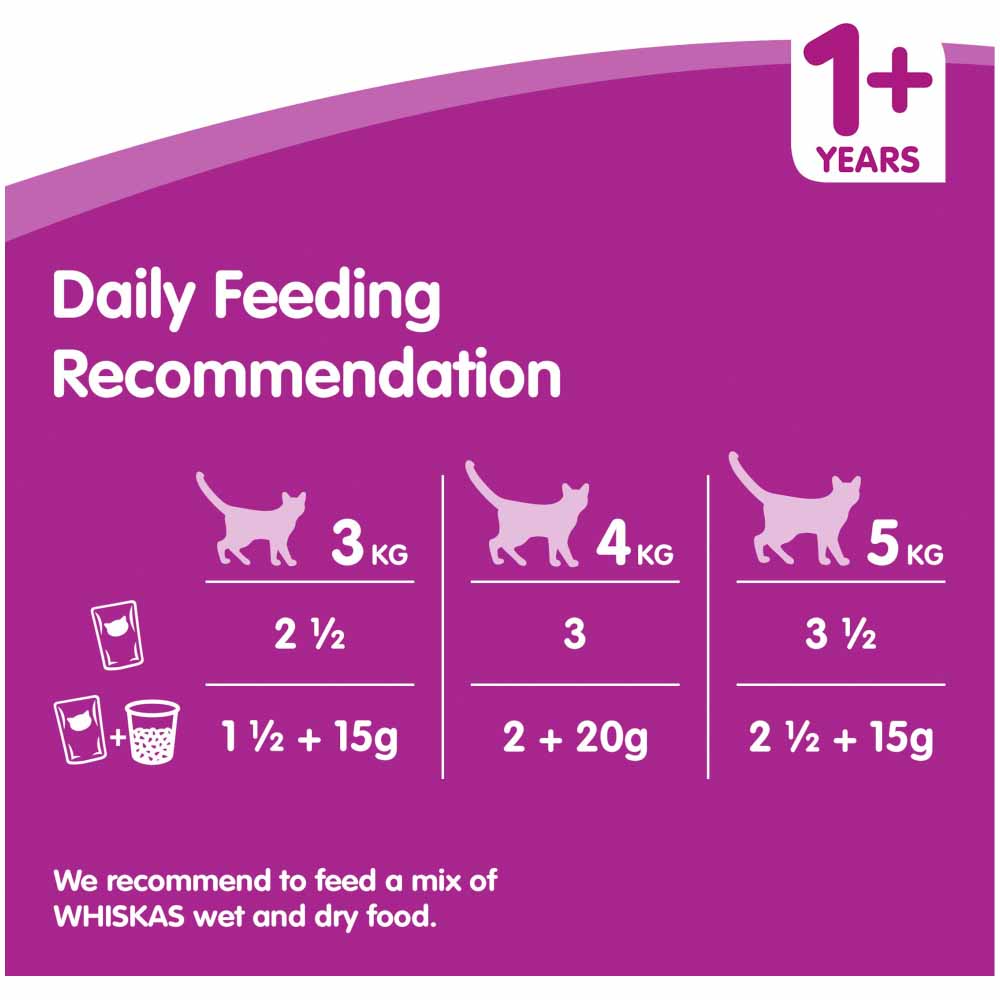 Whiskas Adult Wet Cat Food Pouches Fish & Meat in Jelly Mega Pack 40 x 100g Image 7