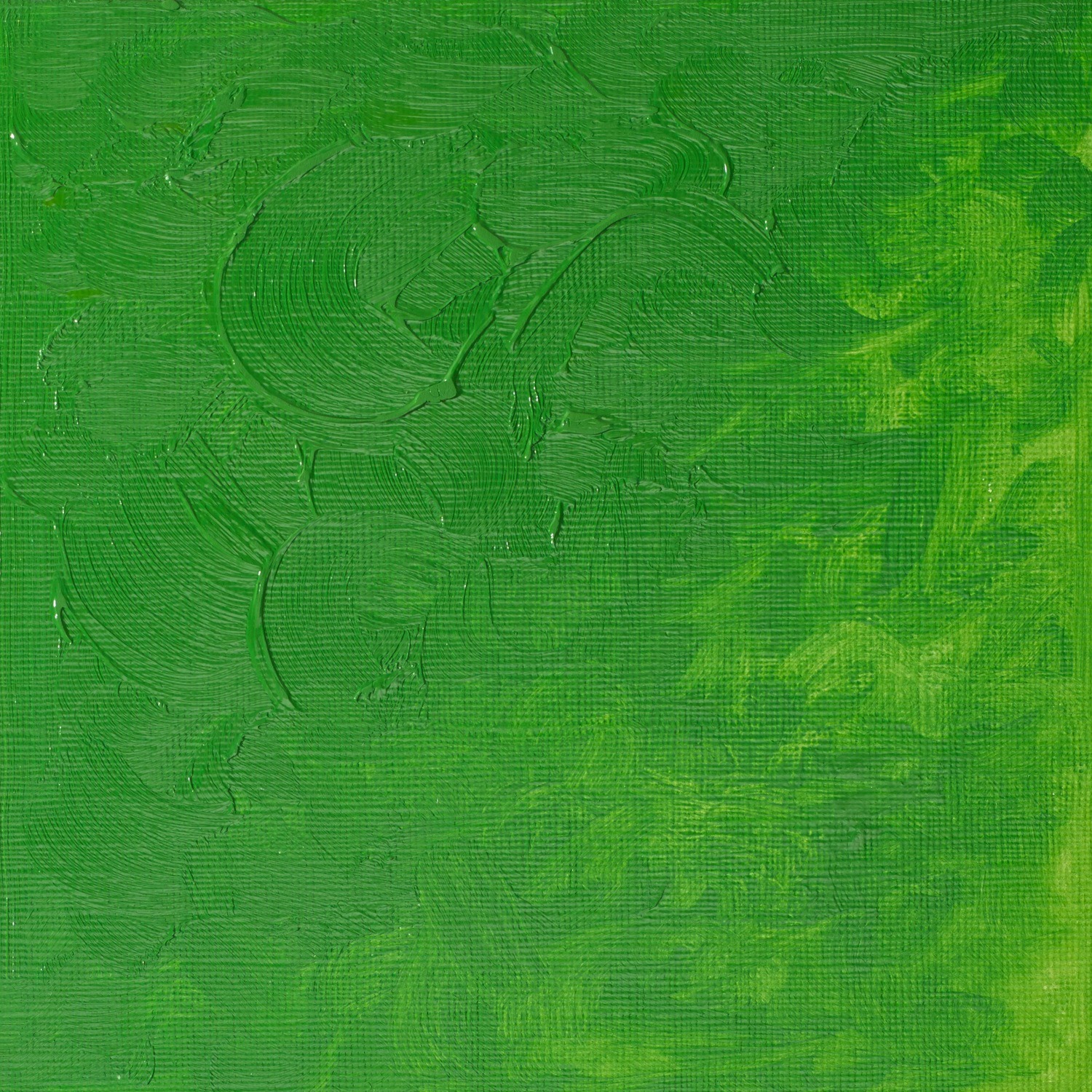 Winsor and Newton 37ml Winton Oil Colours - Perm green light Image 2