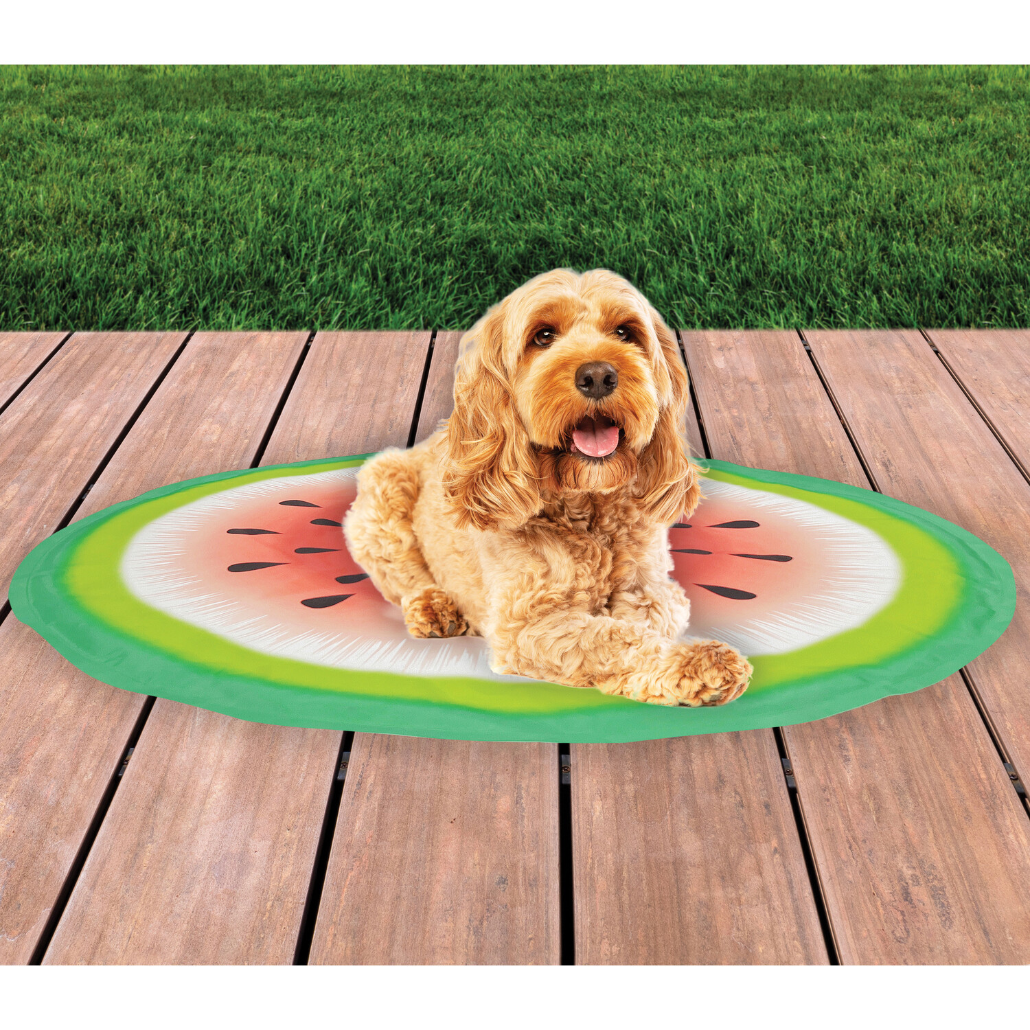 Clever Paws Watermelon Fruit Pet Cooling Mat Image 2