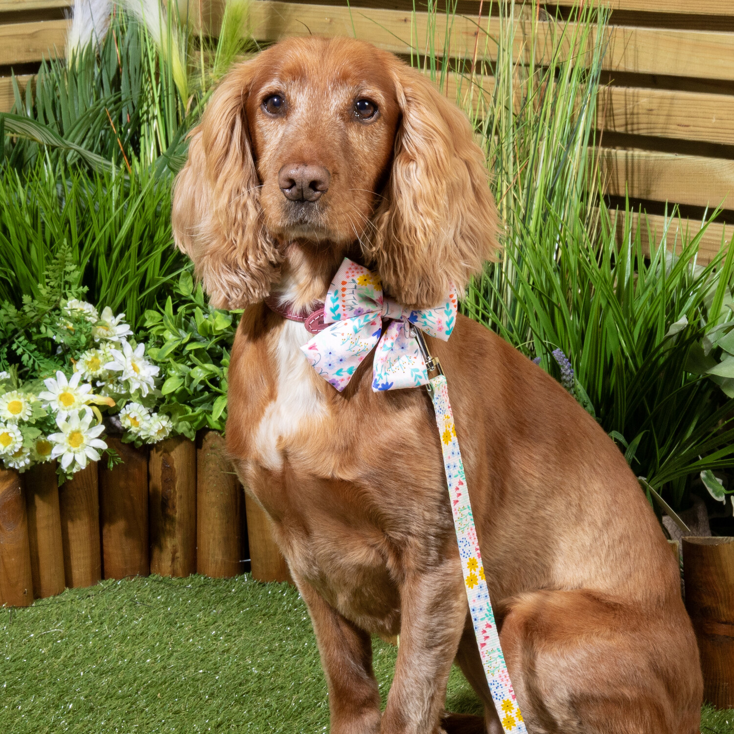 Pack of 3 Wildflower Dog Bows Multicolour Image 4