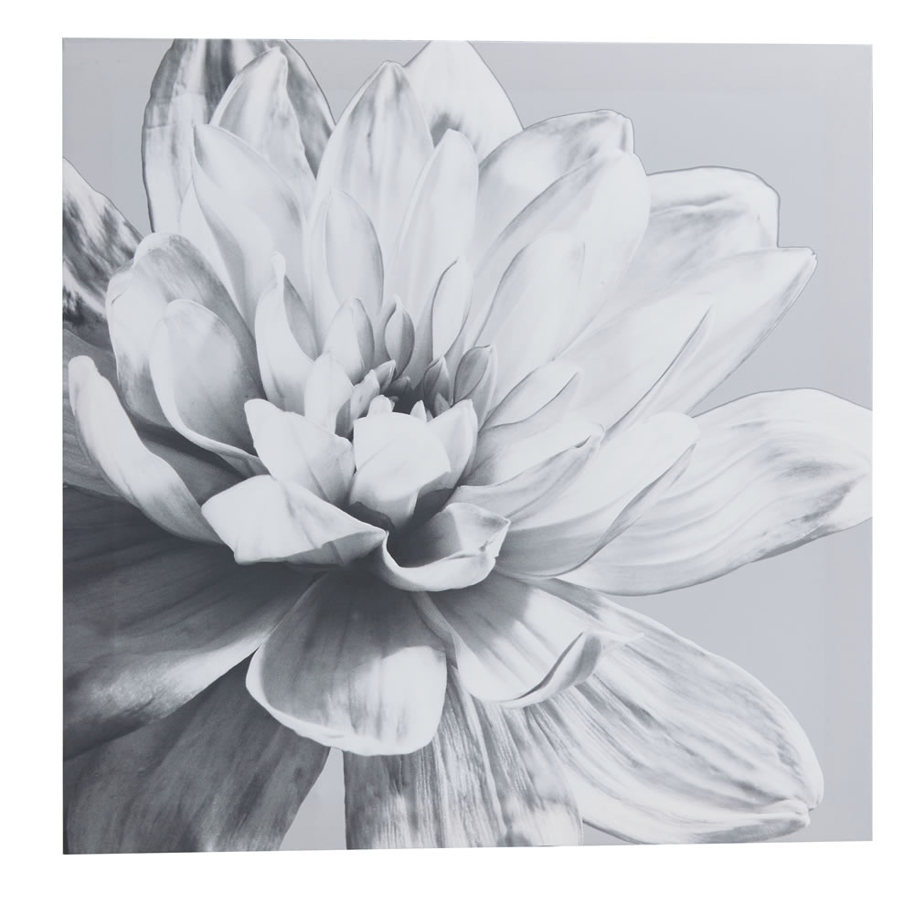 Wilko 48 x 48cm Grey Dahlia Canvas Image
