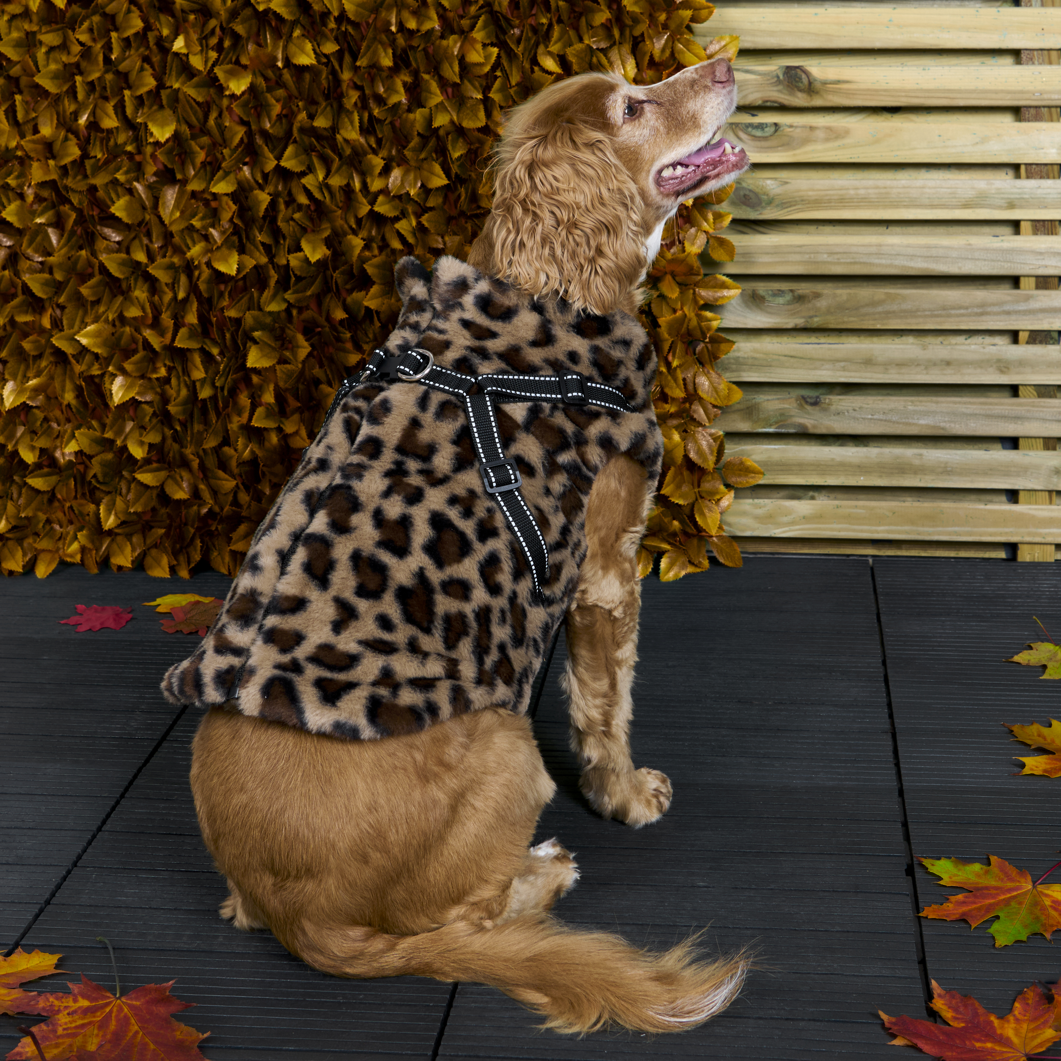 Fluffy Harness Dog Coat XS Image 9