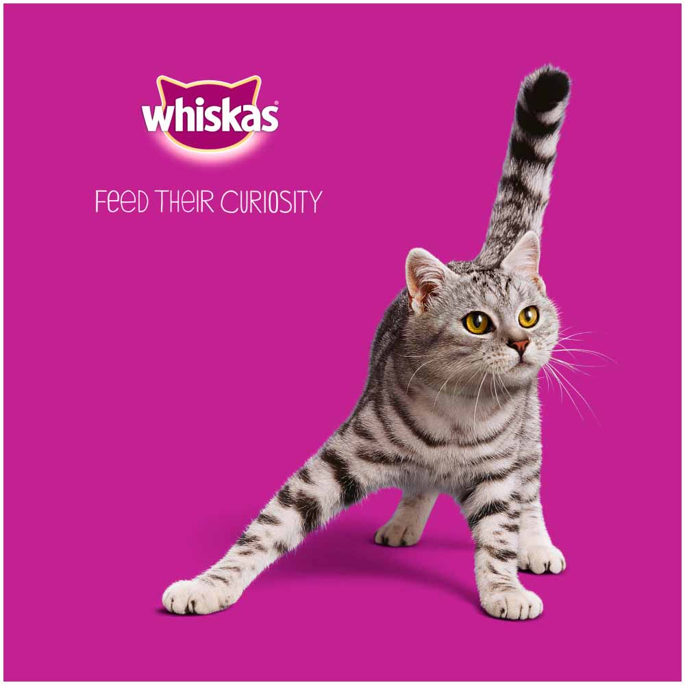 Whiskas 7+ Poultry in Jelly Cat Food 12 x 100g Image 7