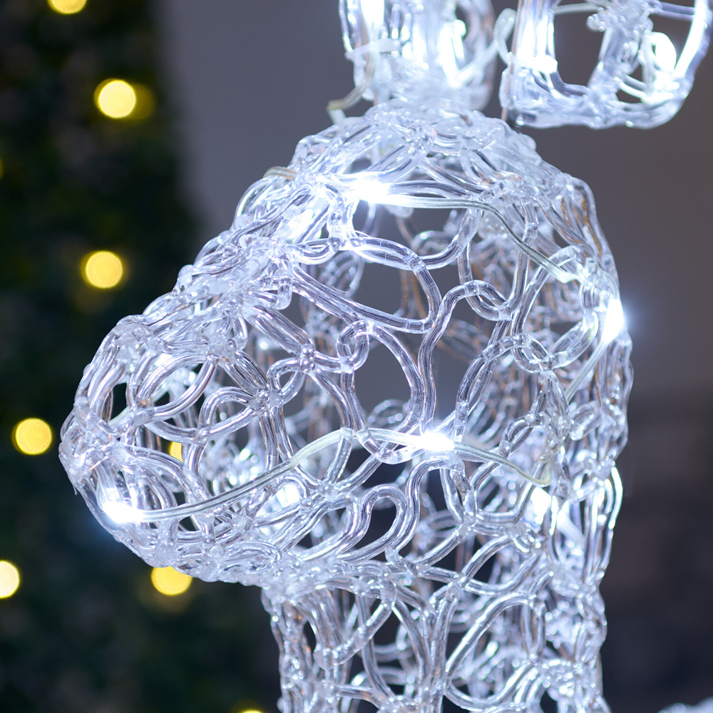 60 LED Acrylic Stag Image 3