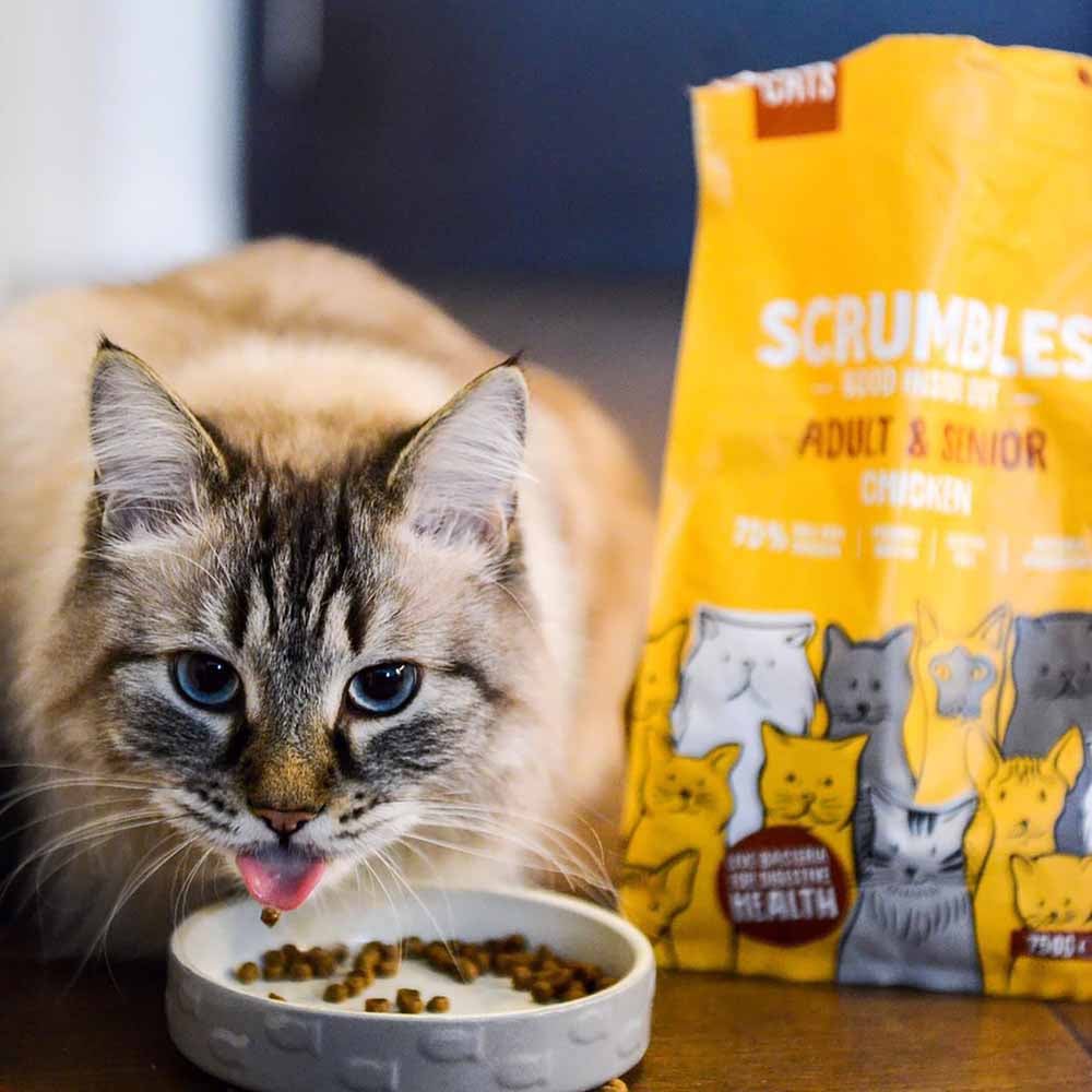 Scrumbles Chicken Adult and Senior Dry Cat Food Case of 6 x 750g Wilko