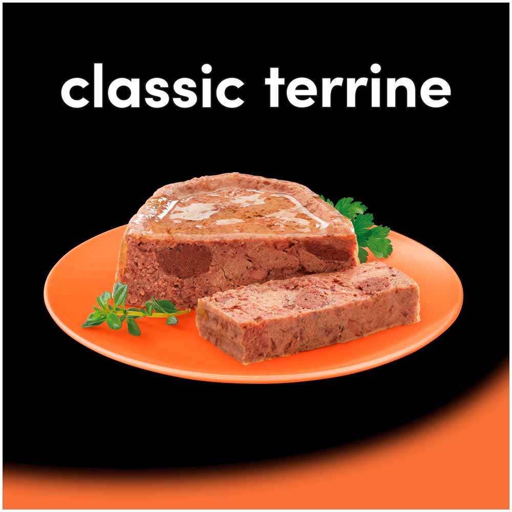 Cesar Classic Terrine Selection Dog Food Trays 4 x 150g Image 9