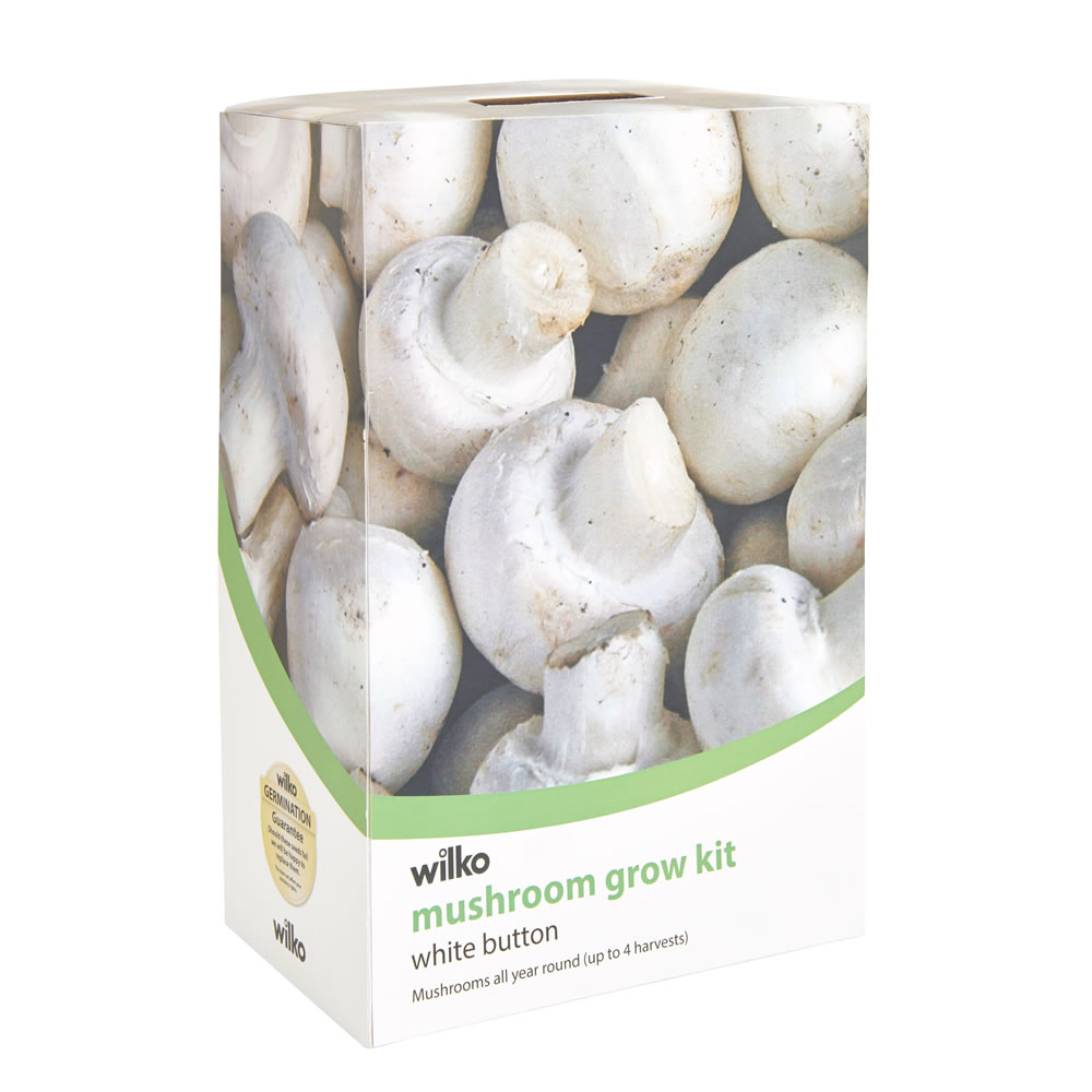 Wilko Mushroom Grow Kit Wilko