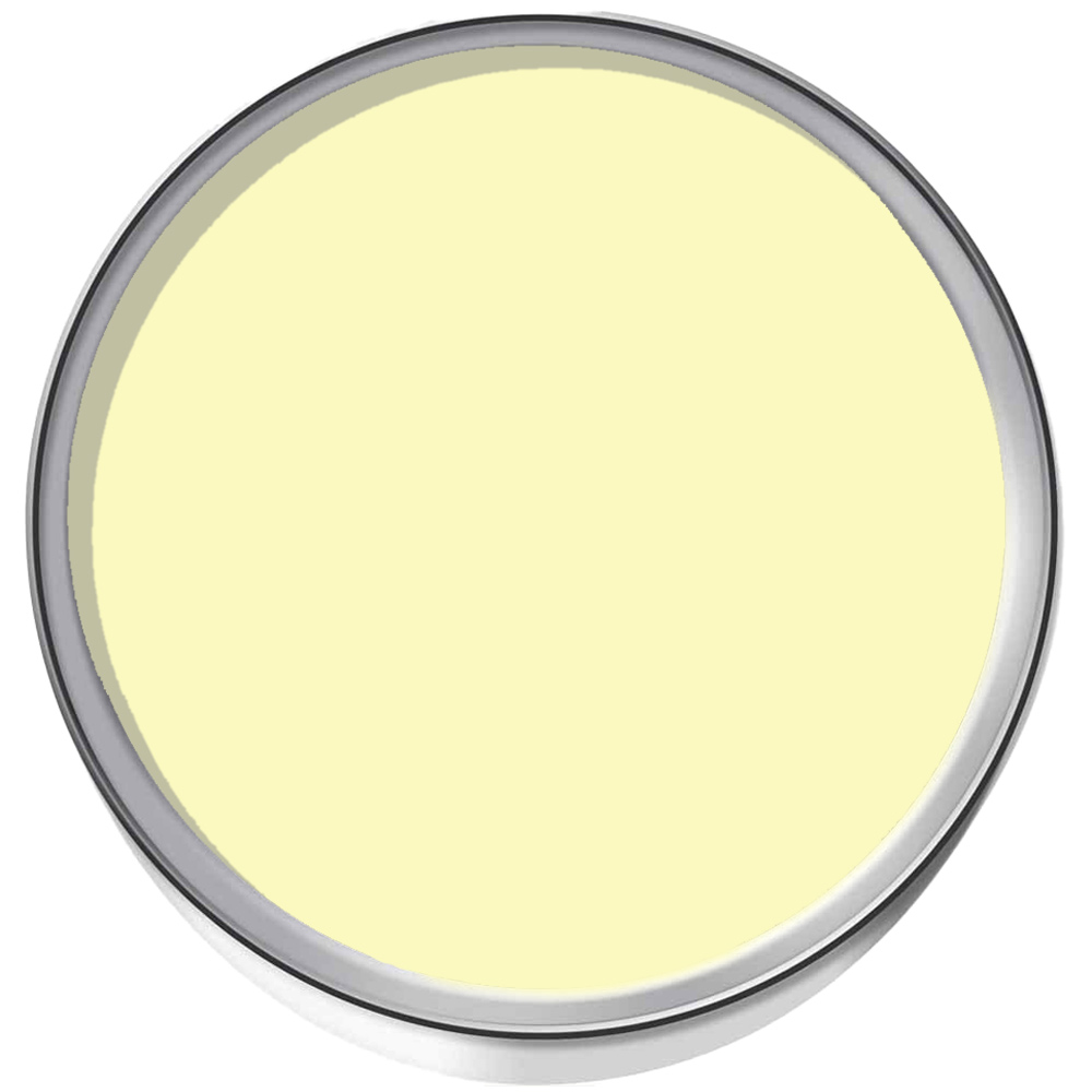 SmartSeal Light Yellow Anti Mould Paint 5L Image 3