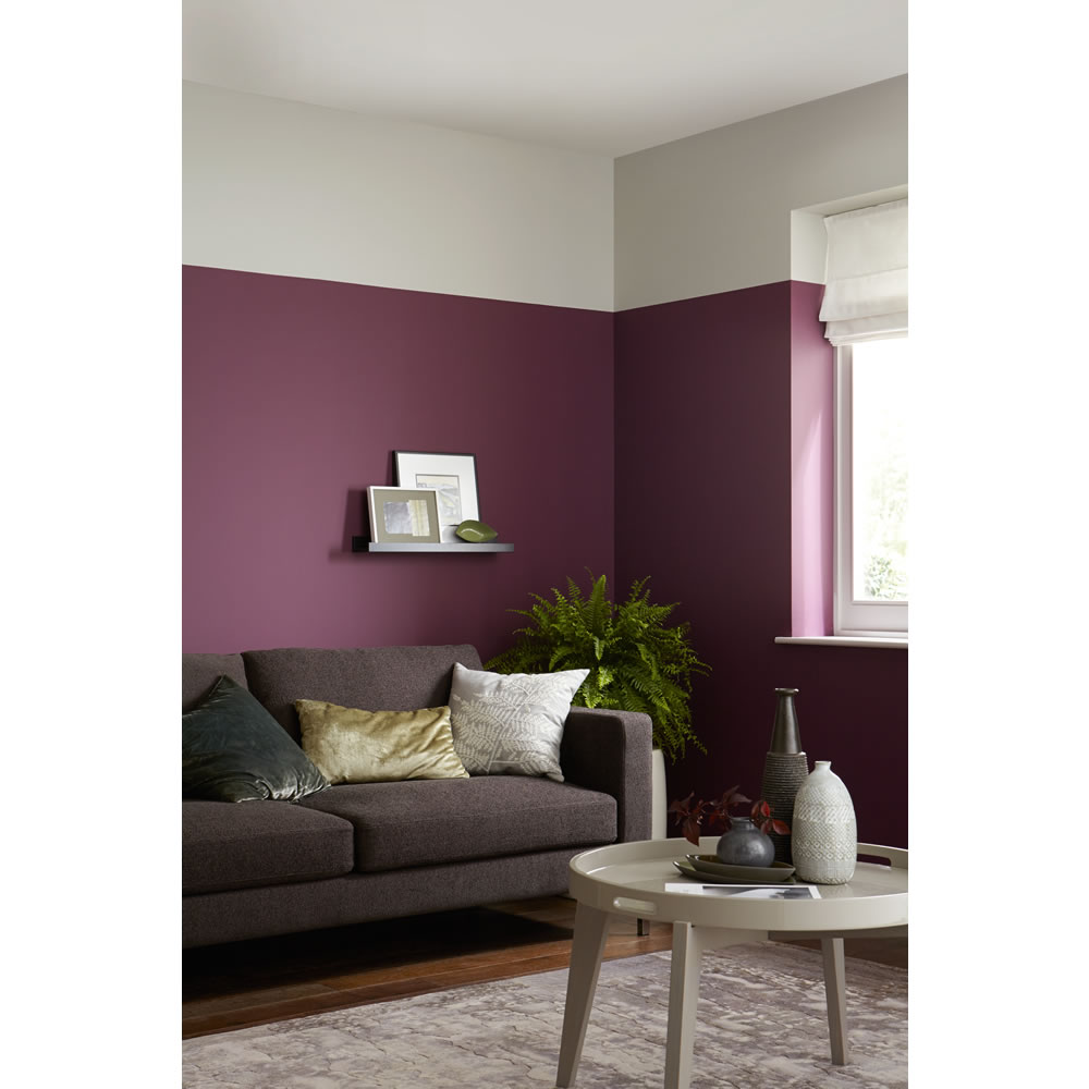 Crown Feature Wall Emulsion Paint                 Addiction 1.25L Image 1