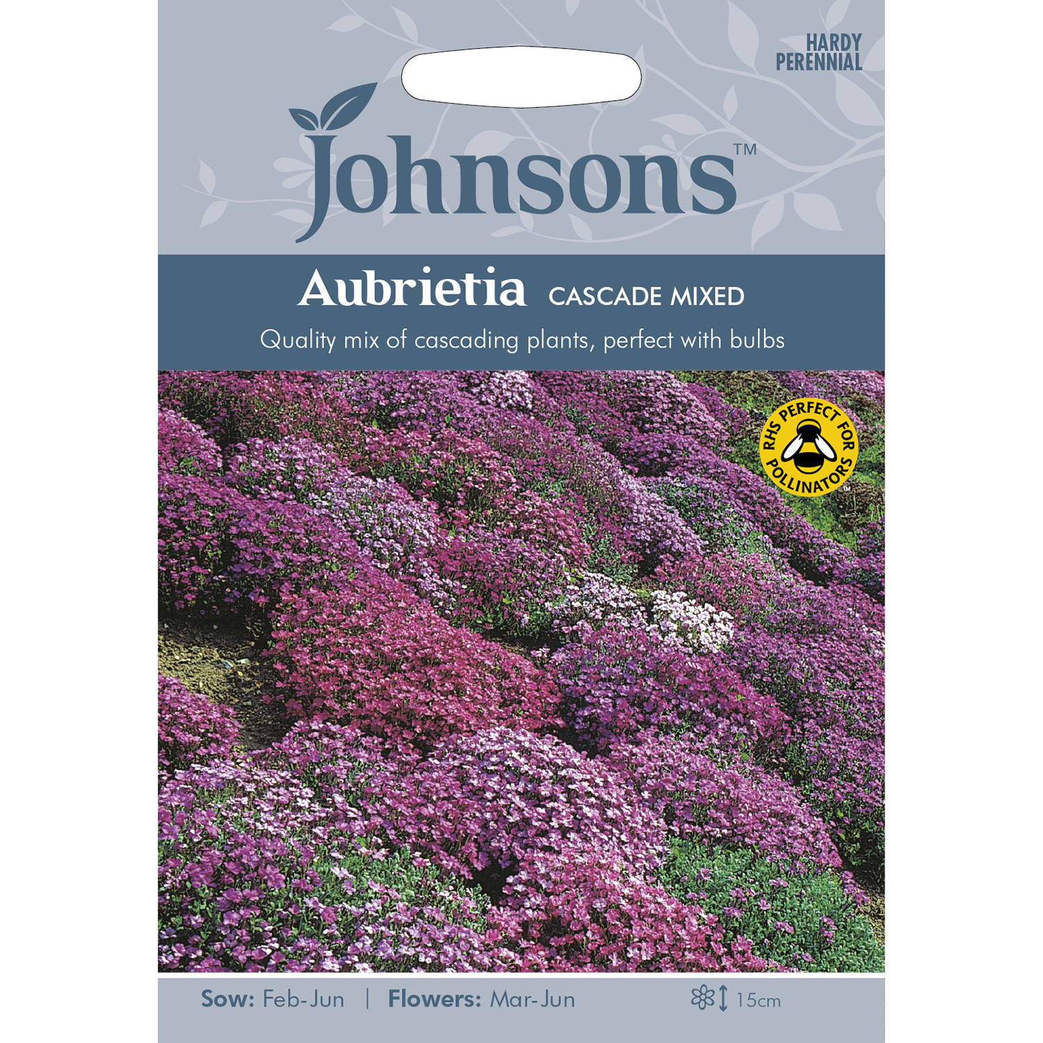 Johnsons Cascade Mixed Aubrietia Flower Seeds Image 2