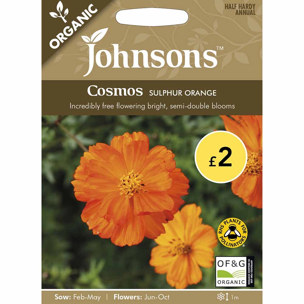 Johnsons Seeds Organic Cosmos Sulphur Orange Image 2