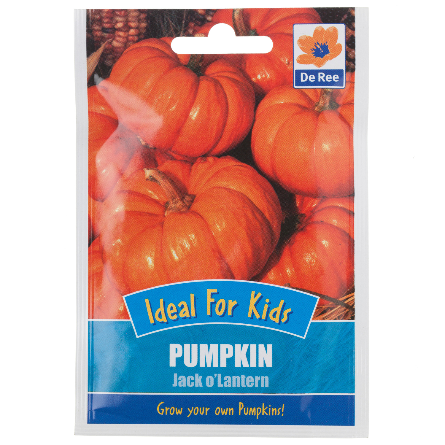 Pumpkin Jack O'Lantern Seeds Image